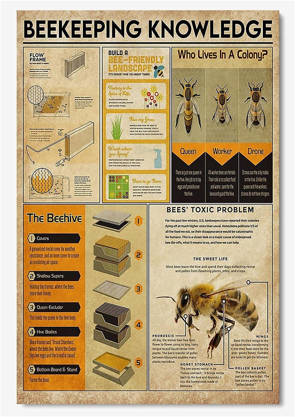 peiyeety Beekeeping Knowledge Metal Tin Signs Beekeeping Information Retro Poster Popular Science Educational Charts Wall Plaques Decor For Home Classroom Room Office 12x18 Inch