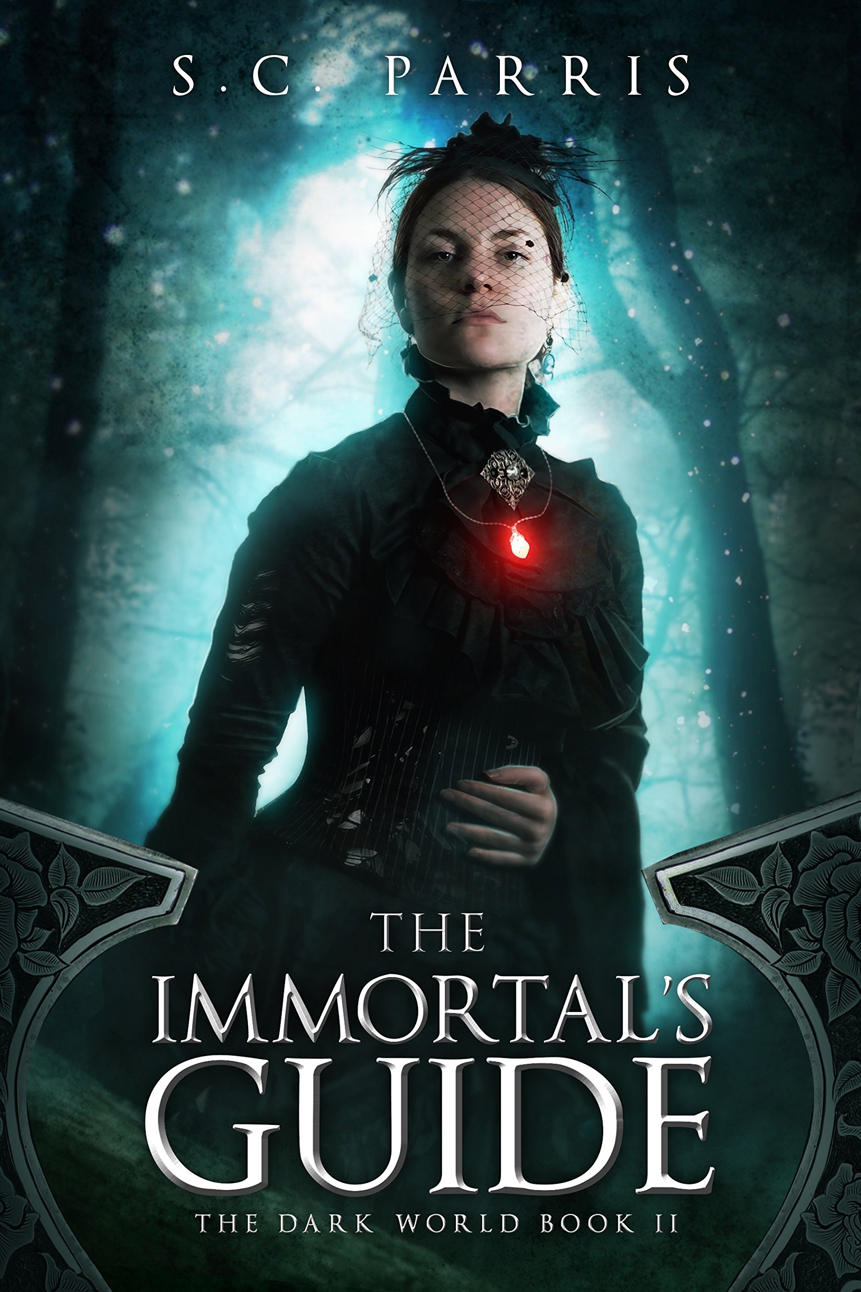 Cover of The Immortal's Guide