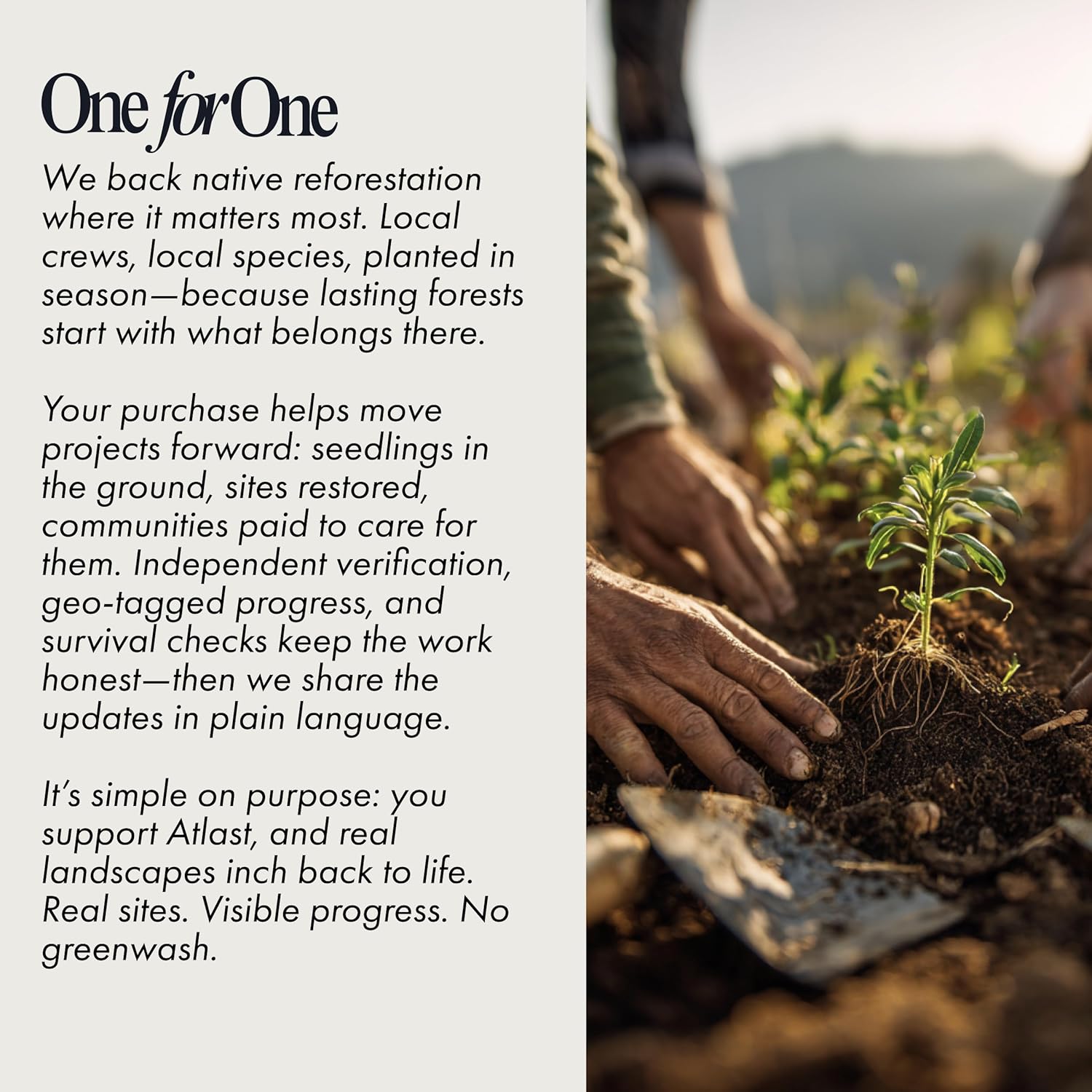 Atlast Instant Yerba Mate Tea Powder Drink Mix - Natural Caffeine Energy for Focus & Daily Ritual - Unflavored - 50 Servings