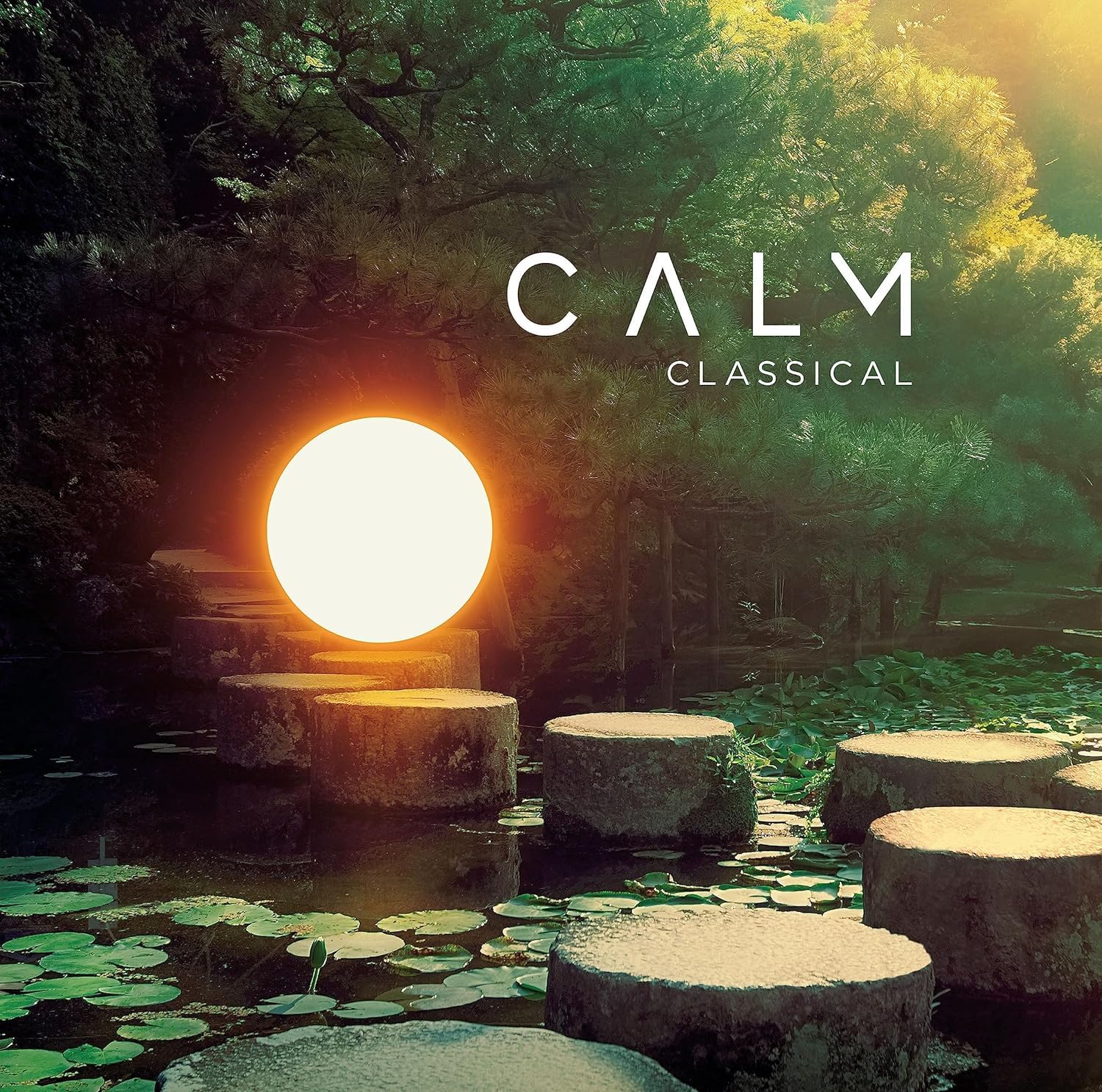 Calm Classical [VINYL]