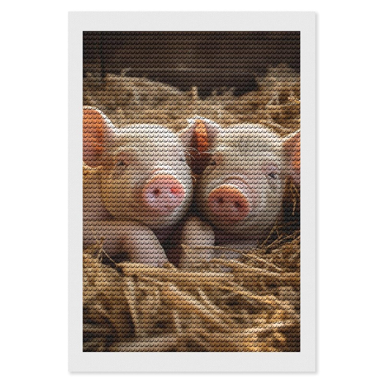 Pigs Diamond Art Kits for Adults, DIY 5D Diamonds Painting Kits for Beginner, Round Full Drill Diamond Dots Painting, Diamonds Pictures Gem Art and Crafts Wall Decor 8"x12"