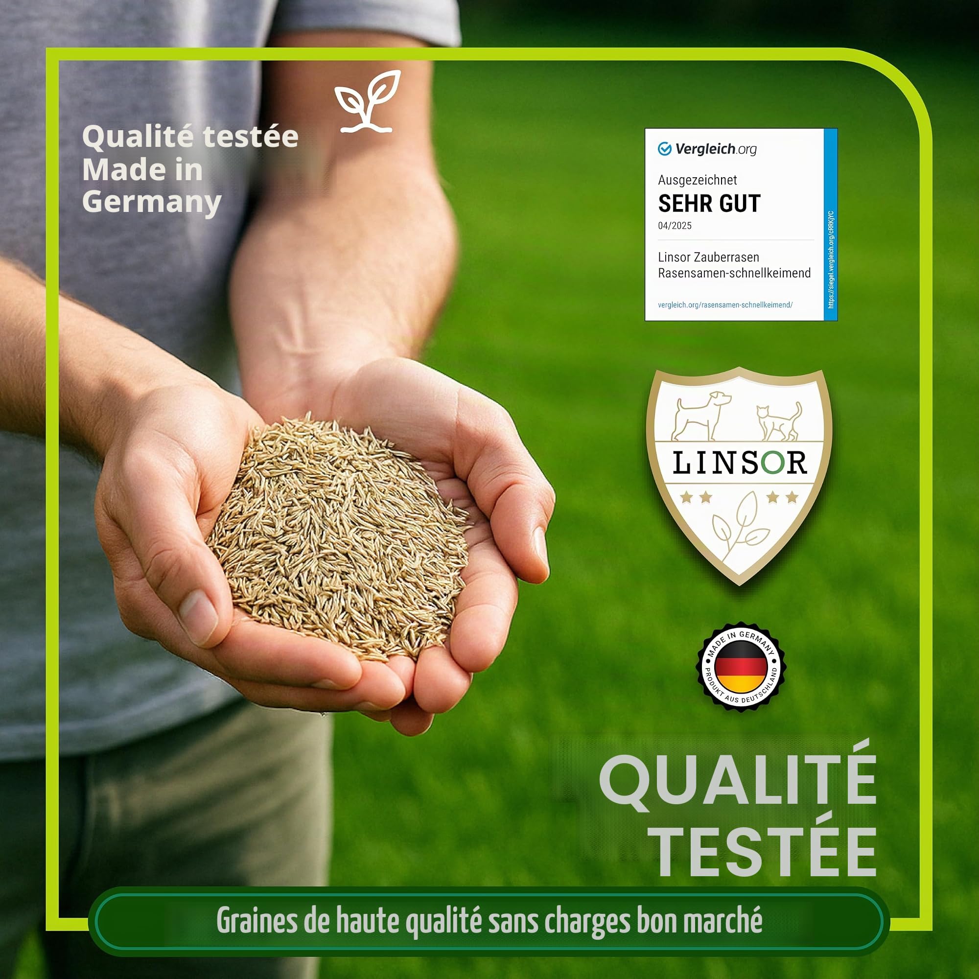 Gazon magique, 10 kg pour 500 m², graines de gazon à germination rapide, mélange de graines de qualité supérieure