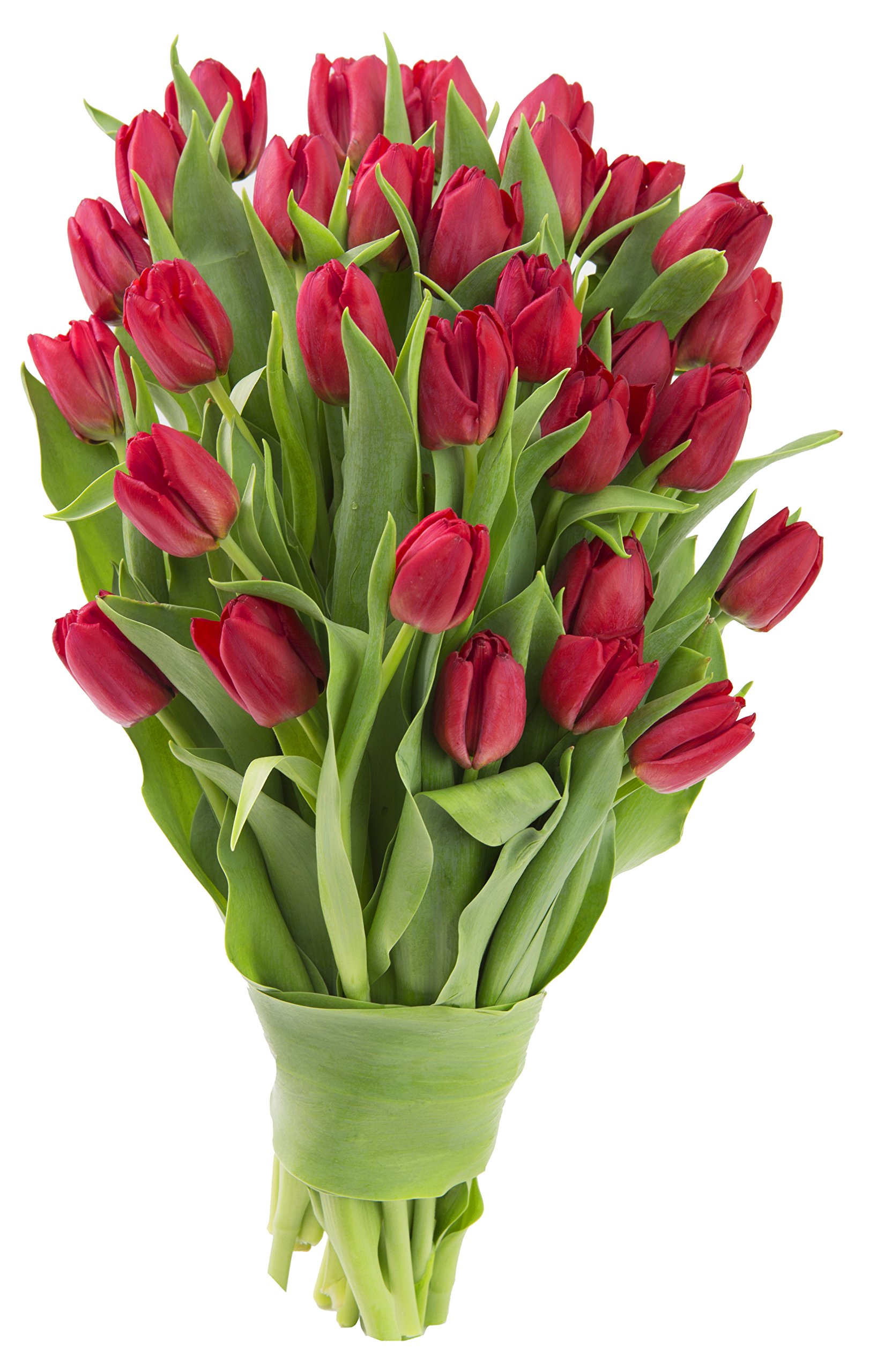 Blooms2Door 30 Red Tulips