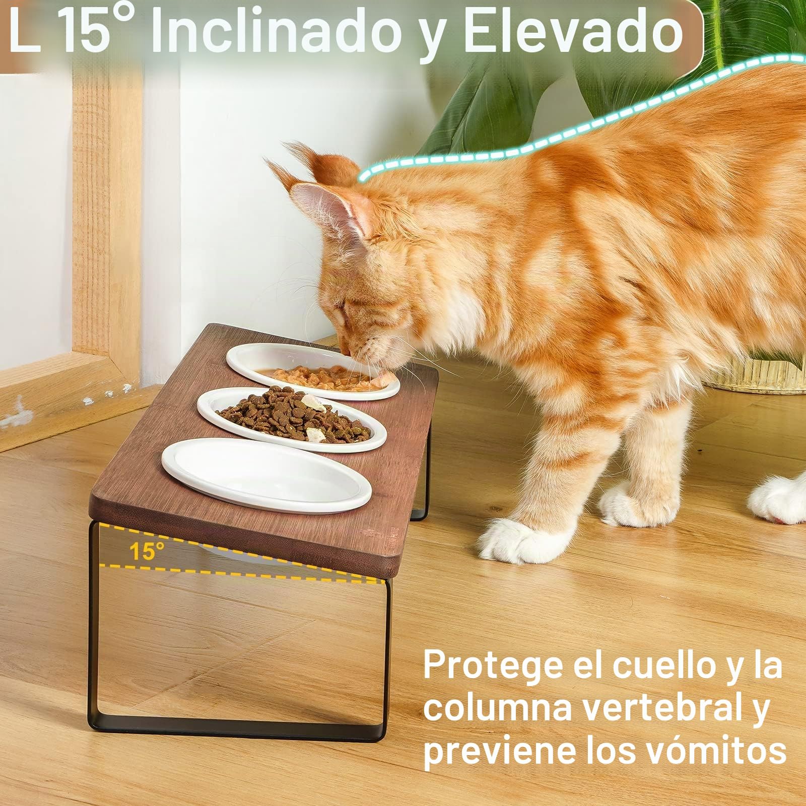 GUUSII HOME Comedero Gato Elevado 3 Cuencos Comederos para Gatos Antivómitos Inclinado 15° Ceramica Cuenco Gato 3 en 1 con Soporte de Bambú Natural para Evitar la Fatiga de los Bigotes
