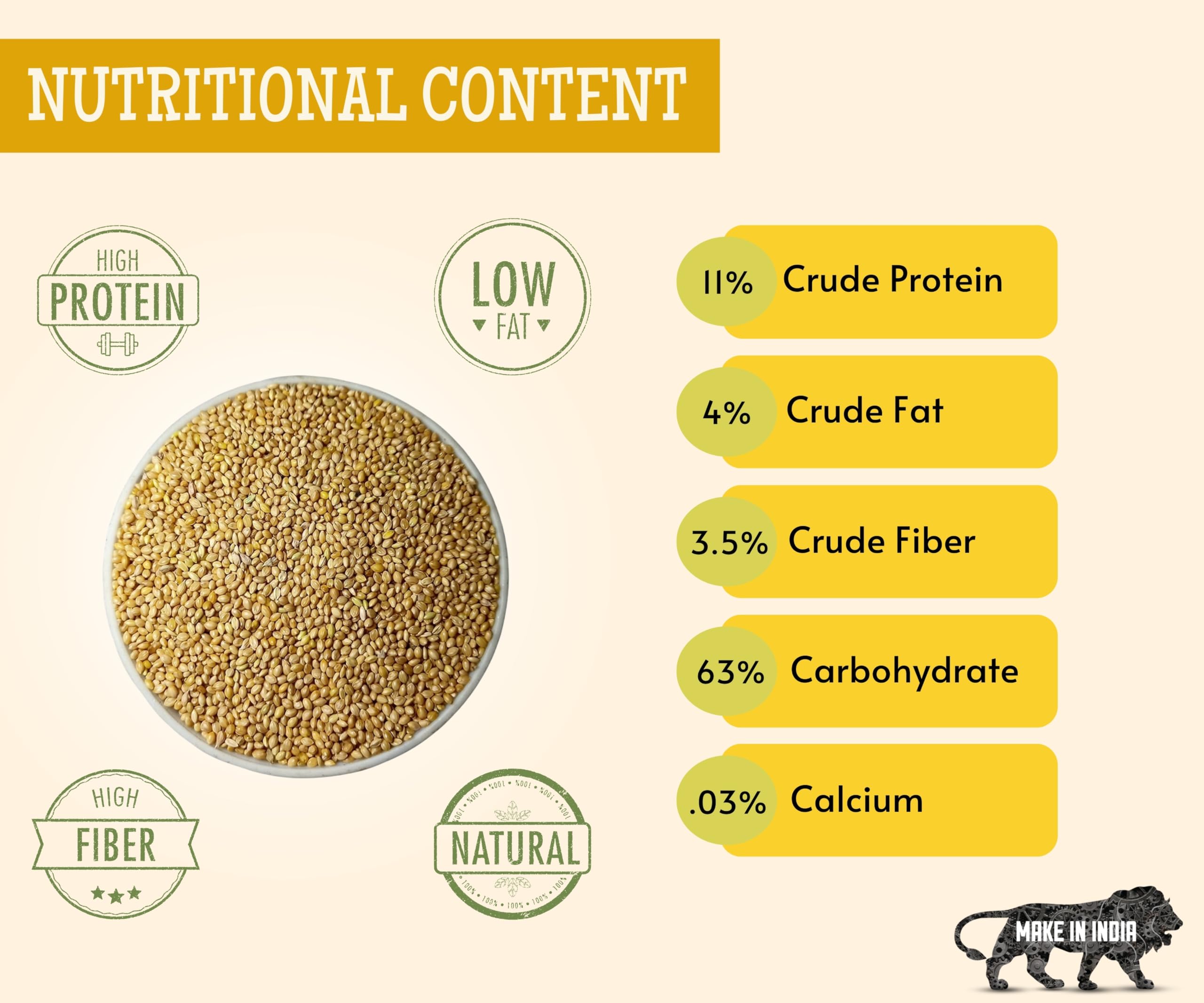 Foodie Puppies Foxtail Millet Kangni Seeds Bird Food - (500gm, Pouch), High-Fiber Balanced Nutritious Daily Diet for All Bird Types 1