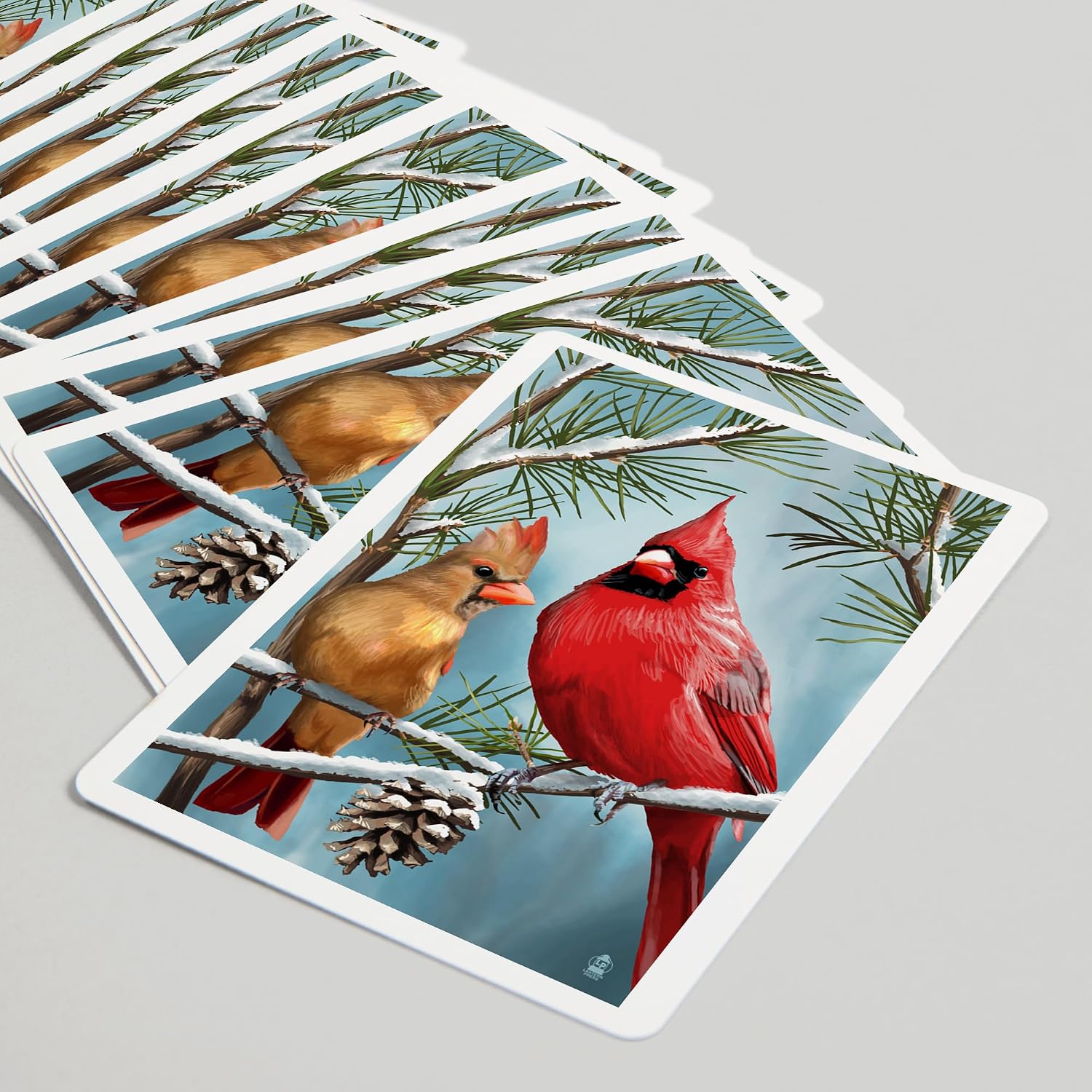 Lantern Press Cardinals in Winter, 52 Playing Cards for Adults, Poker Size Card Deck