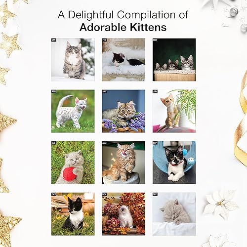 Miniatura 9 de Red Ember Select Series - Calendario de pared mensual colgante 2024 de Kittens  12 x 24 pulgadas abierto  Papel grueso y resistente  Regalo  Lindo
