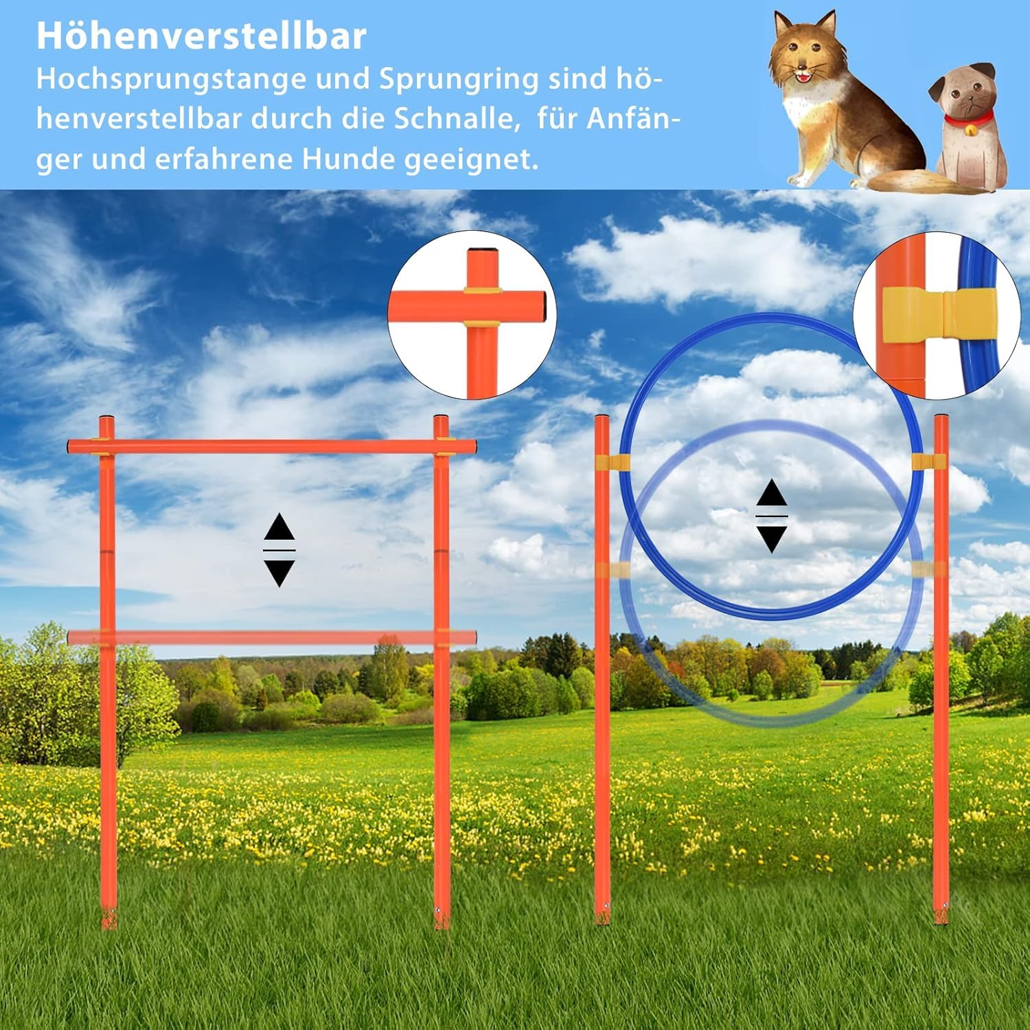 FIVMEN Set Di 4 Aste Da Slalom Pe Cani, In Plastica, Egolabile FIVMEN Set Di 4 Aste Da Slalom Pe Cani, In Plastica, Egolabile