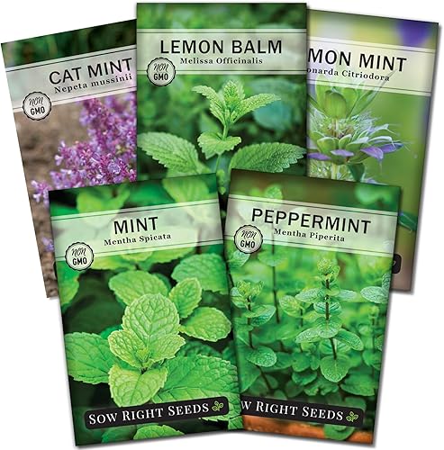Sow Right Seeds - Mint Garden Seed Collection - Includes Common Mint, Catmint, Peppermint & More - Popular Non-GMO Heirloom Varieties for Planting