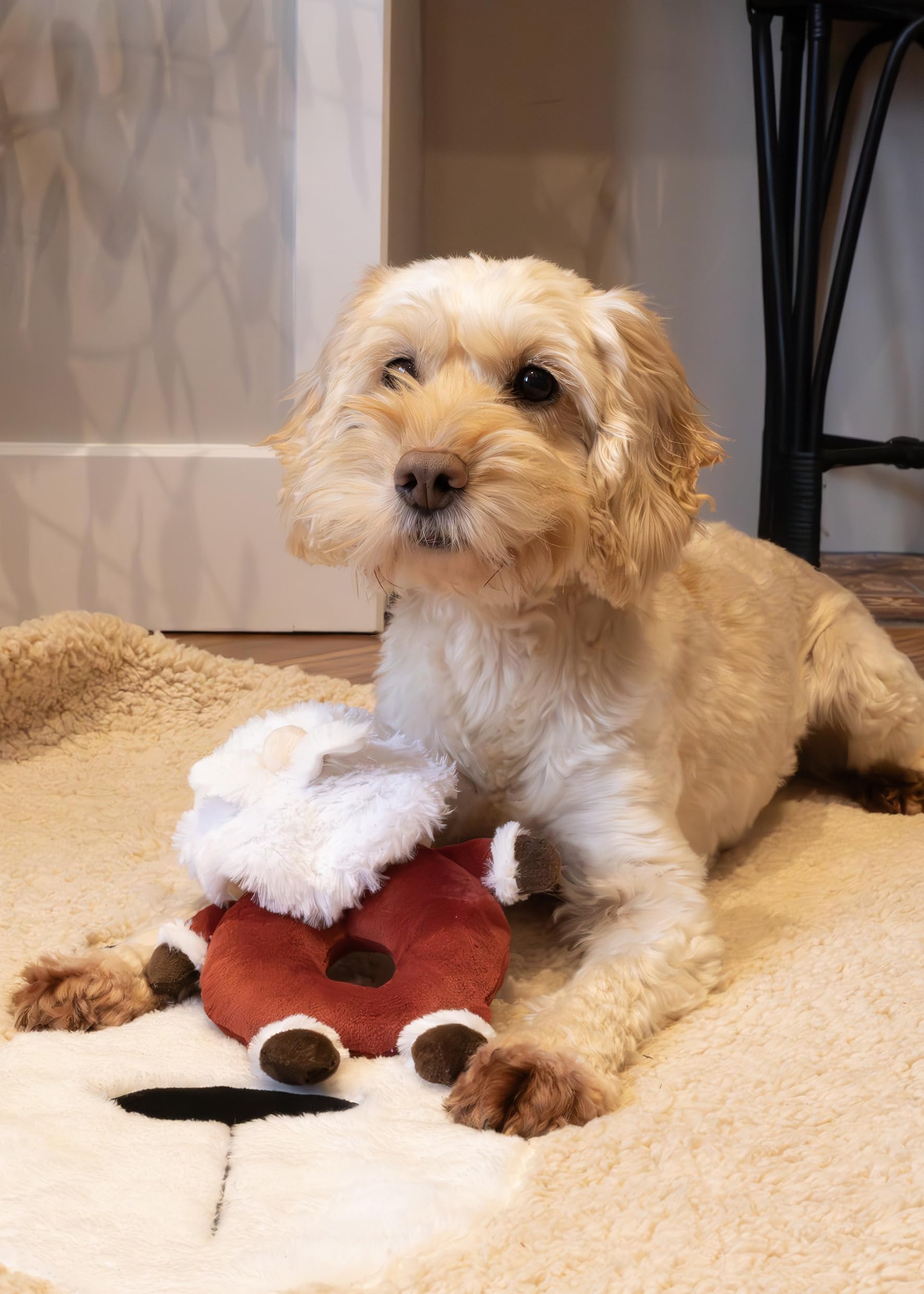 Cupid & Comet Selection of Rope Filled, Plush Covered Christmas Dog Toys from (Sylvester Santa), Multicoloured - Image 4