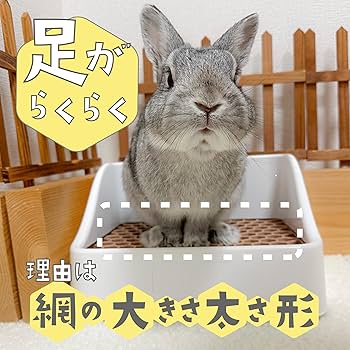 うさぎさん専用ページ Amazon | Usagi Heart うさぎ トイレ うさぎさんと飼い主さんが