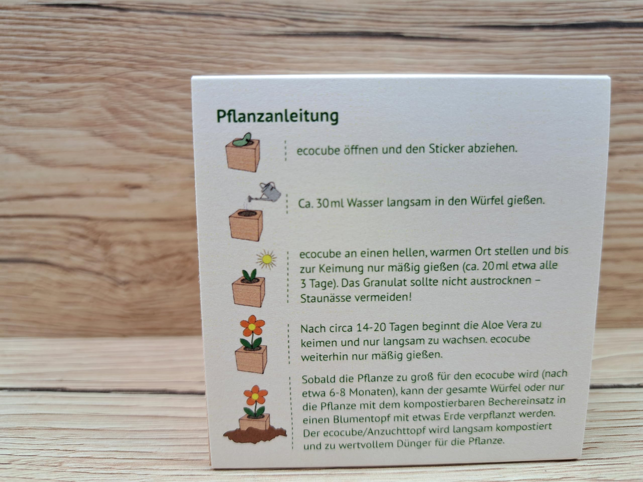 Feel Green 296244 Ecocube Aloe Vera, Nachhaltige Geschenkidee (100% Eco  Friendly), Grow Your Own/Anzuchtset, Pflanzen Im Holzwrfel, Made in  Austria : Amazon.de: Baby