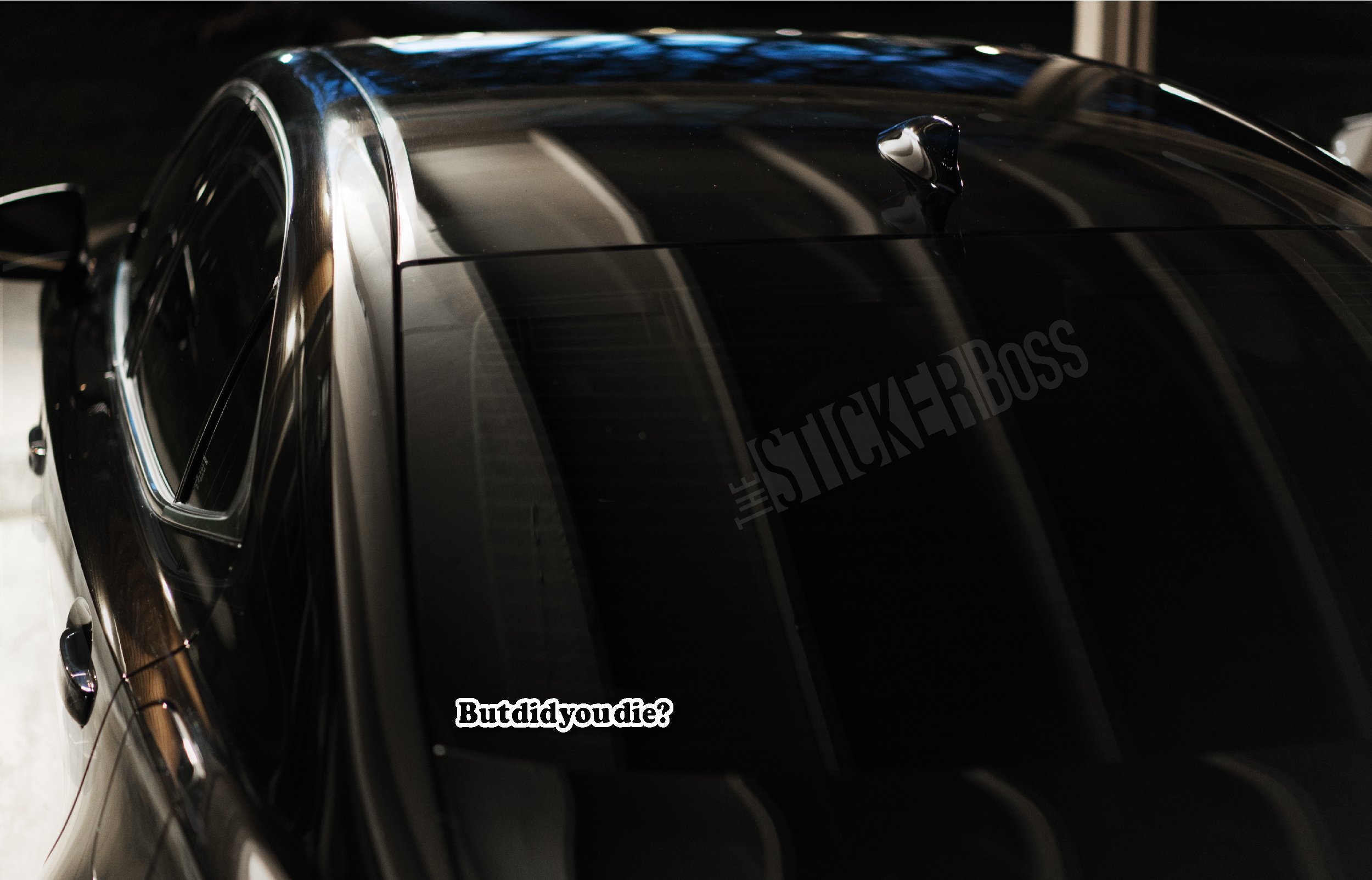 But Did You Die? car Window Decal Sticker (2 Pack)