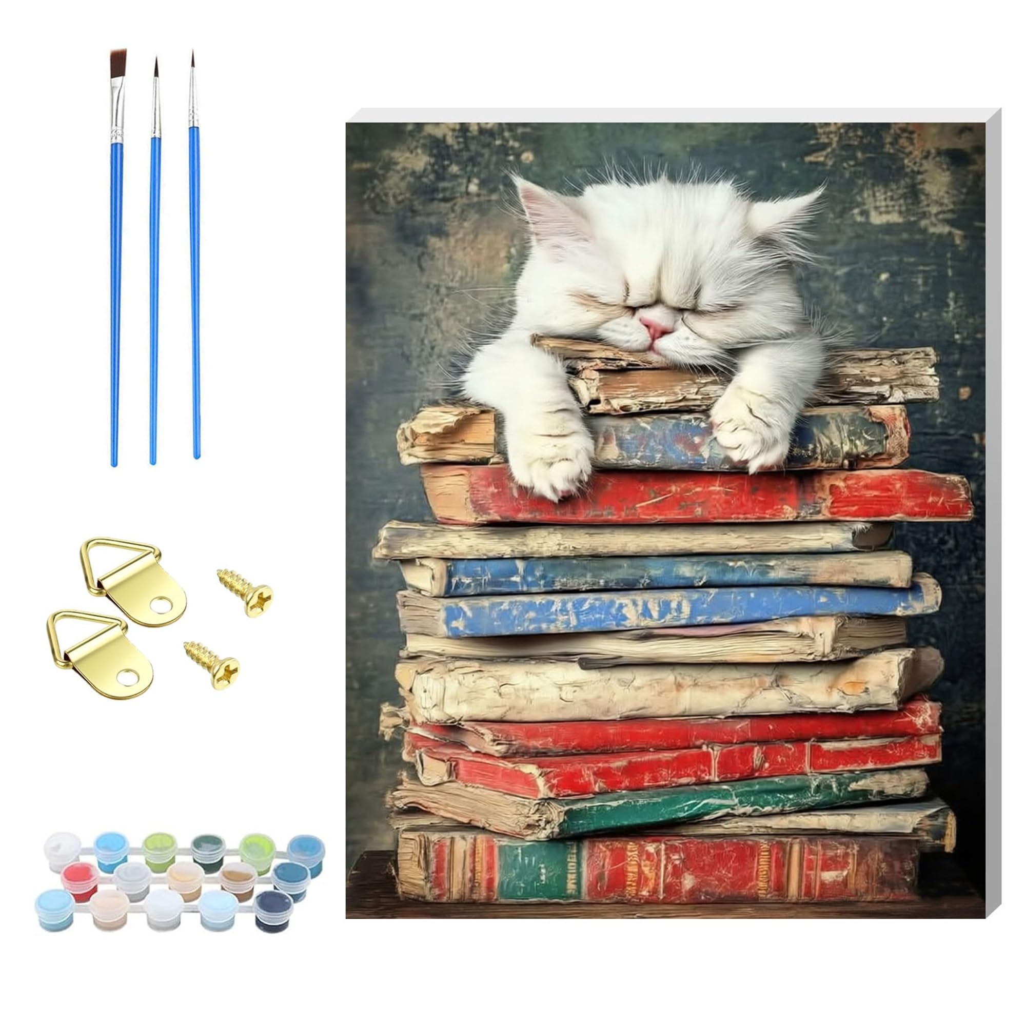 HEFEIS Wooden Framed Paint by Number for Adult,DIY Painting Kits for Adults,Color by Numbers Acrylic,Small Paint by Number Canvas Crafts Watercolor for Beginners Hoom Decor (Book)