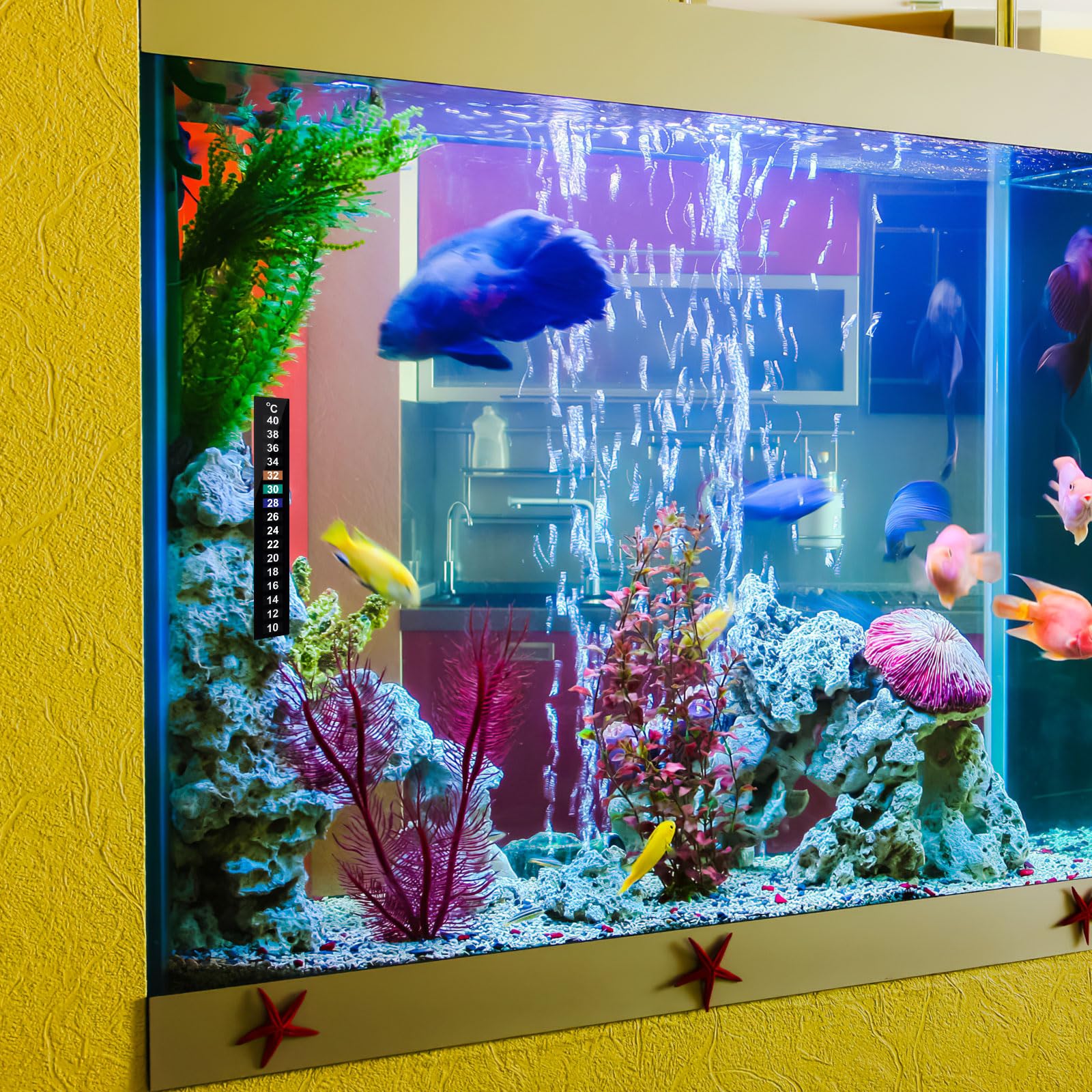 10pièces Thermomètre Adhésif Numérique Pour Aquarium Bande Thermomètre À Couleurs Changeantes Indicateur De Température Pour Vin Bière Et Kombucha