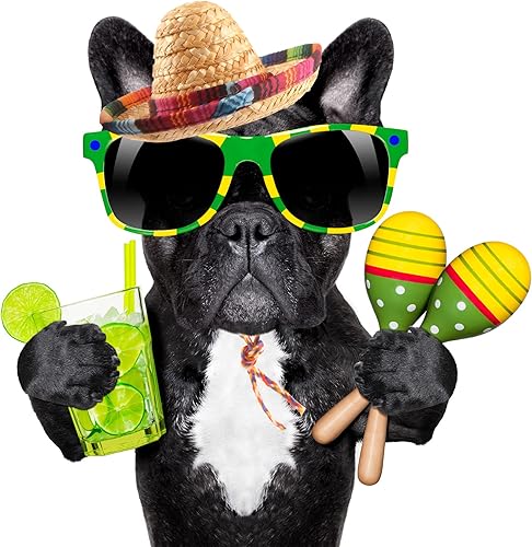 Miniatura 8 de Cagemoga 12 diademas mexicanas para niños, adultos, perros, mascotas