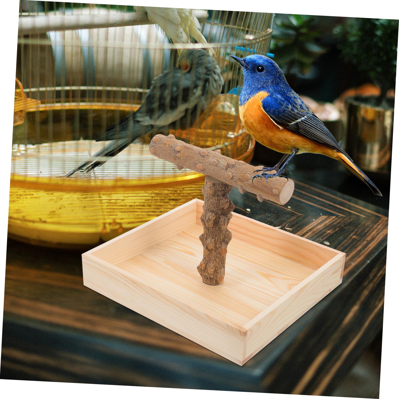 UPKOCH Natürliche Holz Vogel Sitzstange Trainingsständer für Papageien und Wellensittiche Tragbarer T Förmiger Vogelstand für Käfig und Tisch Sicherer Spiel und Übungsplatz für Kleine