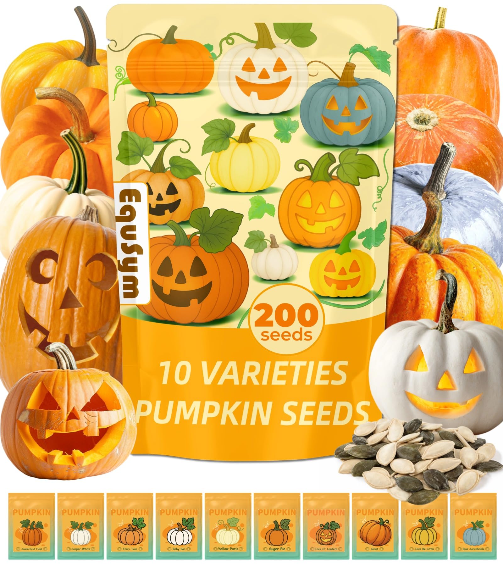 EquSym 10 Variety Pumpkin Seeds