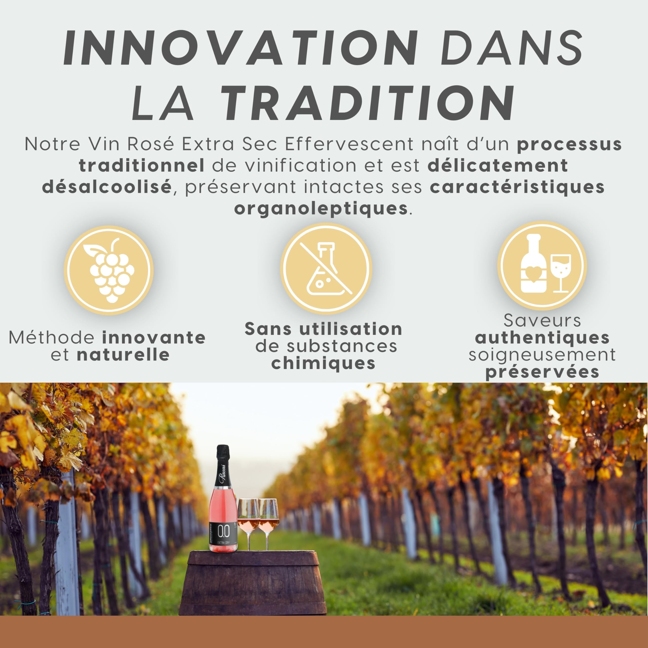 ALTERNATIVA Rosé Extra Sec Mousseux Sans Alcool 0.0% 6 Bouteilles de 750 ml | Bulles Italiennes Désalcoolisé Premium - Idéal pour Célébrations et Cadeaux