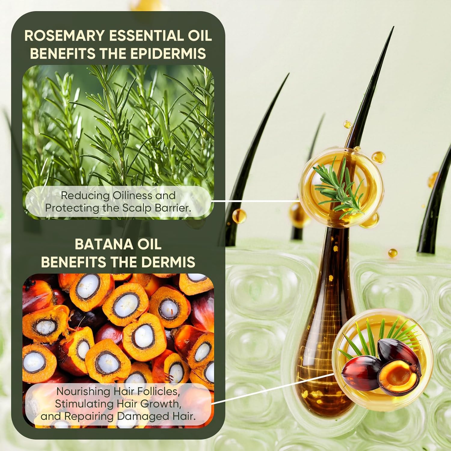 Batana Oil Shampoo for Hair Growth, Batana Oil & Rosemary Oil Shampoo, Reduces Hair Loss, Restores Hair Vitality and Rejuvenates, Stimulates Hair Growth, Repairs Damage for Men & Women 10.58fl.oz - Image 4