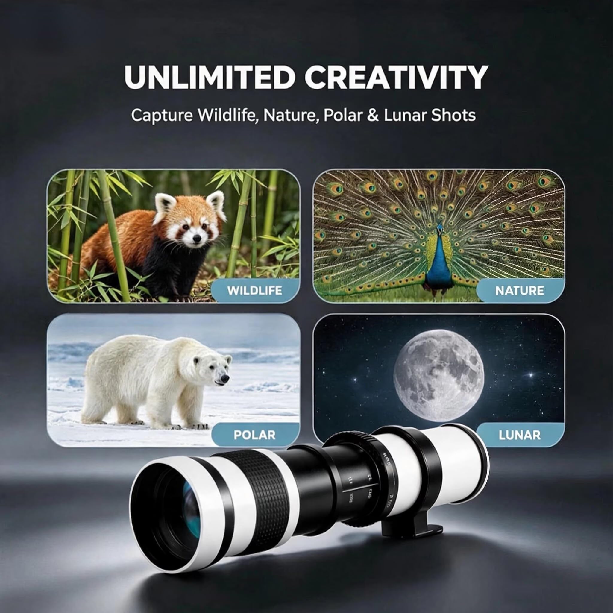 Teleobjektiv JINTU 420-800mm F8.3, EF Objektiv Manueller Fokus für Canon EOS 4000D 2000D 1500D 850D 800D 750D 600D 500D 90D 5D III D90 D5600 D5200 D5100 D7200 D7100 D3100 D3200