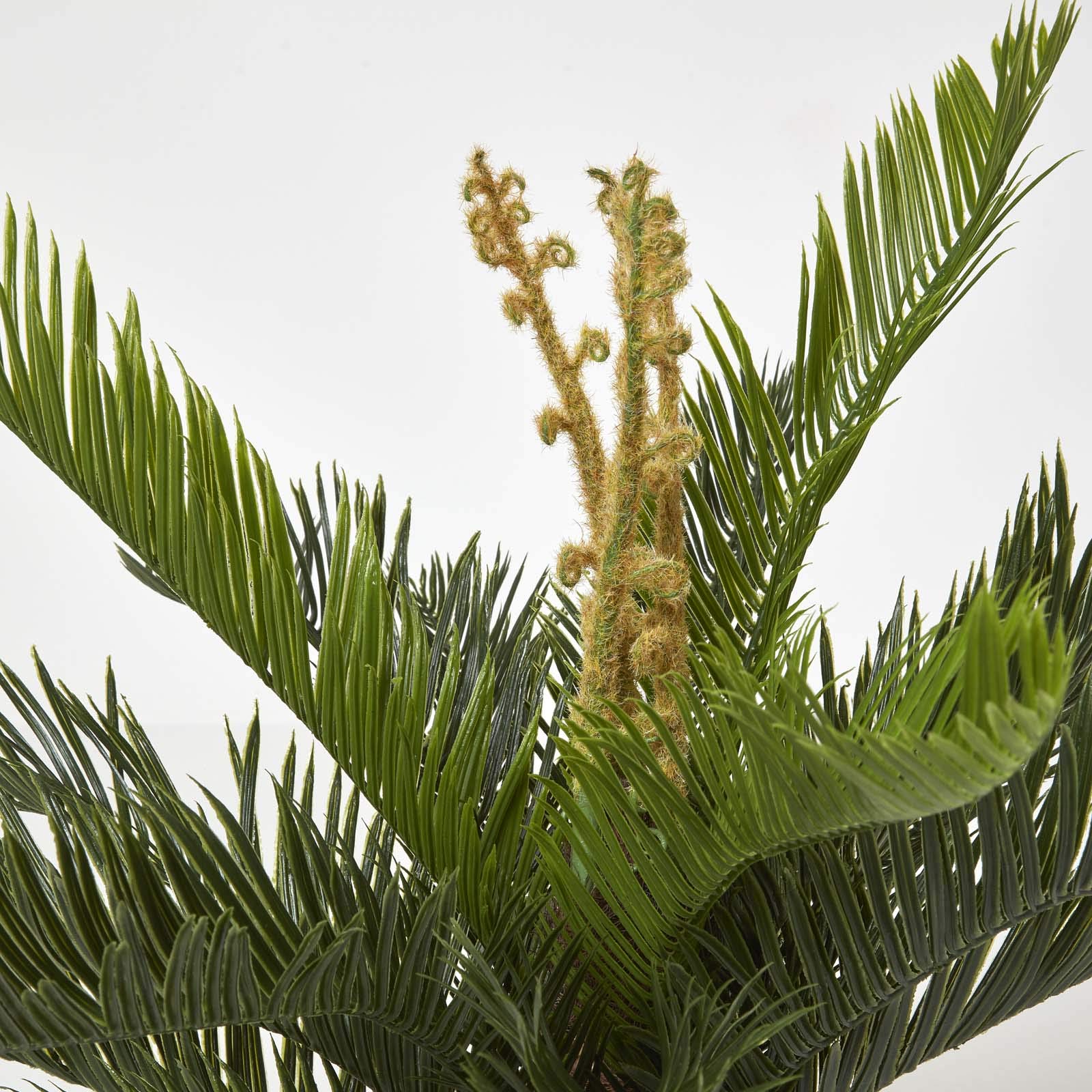Homescapes, pianta artificiale “Cycas revoluta” con vaso nero, 75 cm