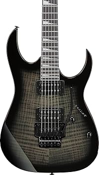 Amazon.com: Ibanez Gio RG320FAT Electric Guitar