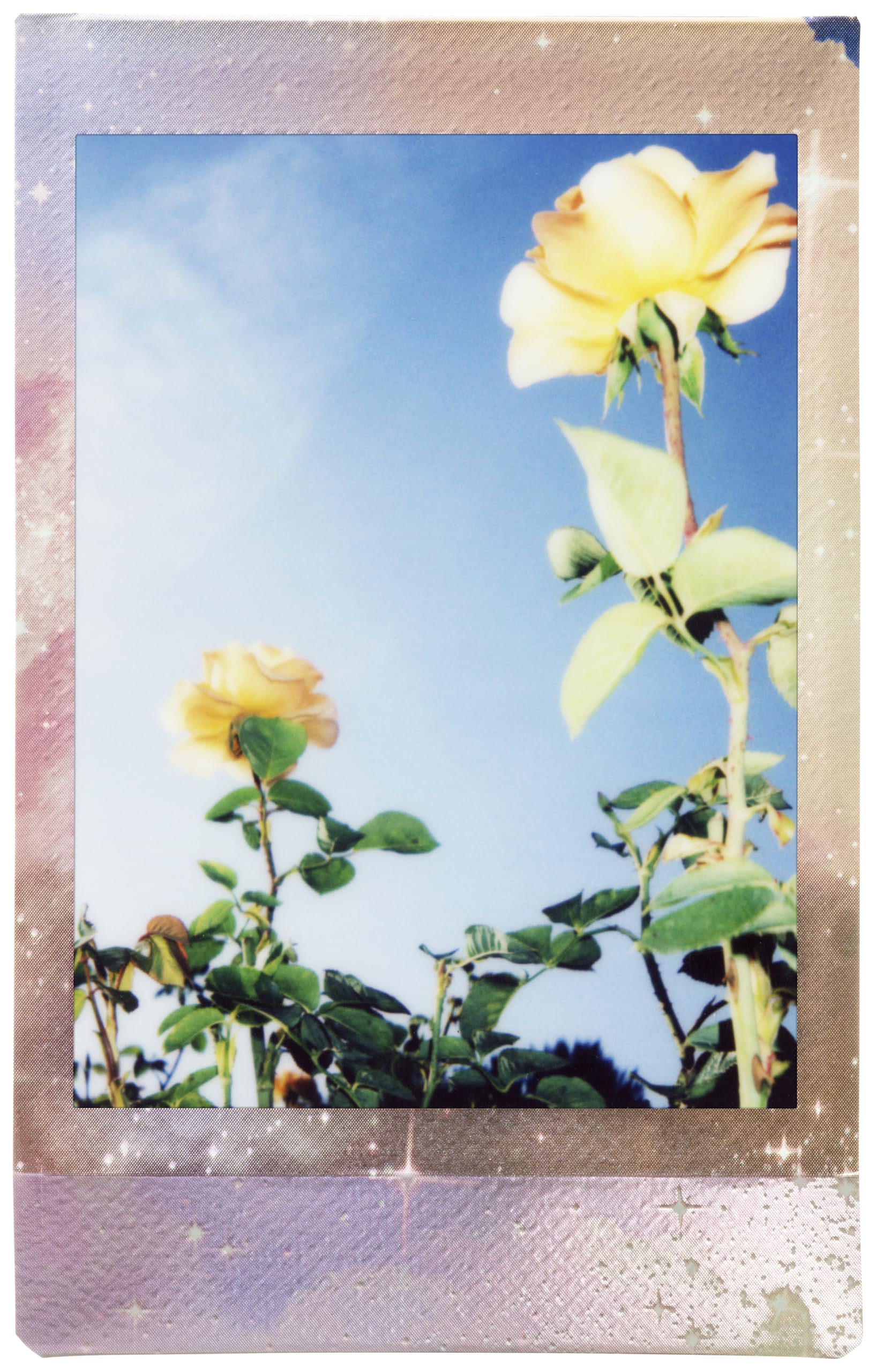 FUJIFILM instax Mini Film instantané Pastel Galaxy 10 Poses