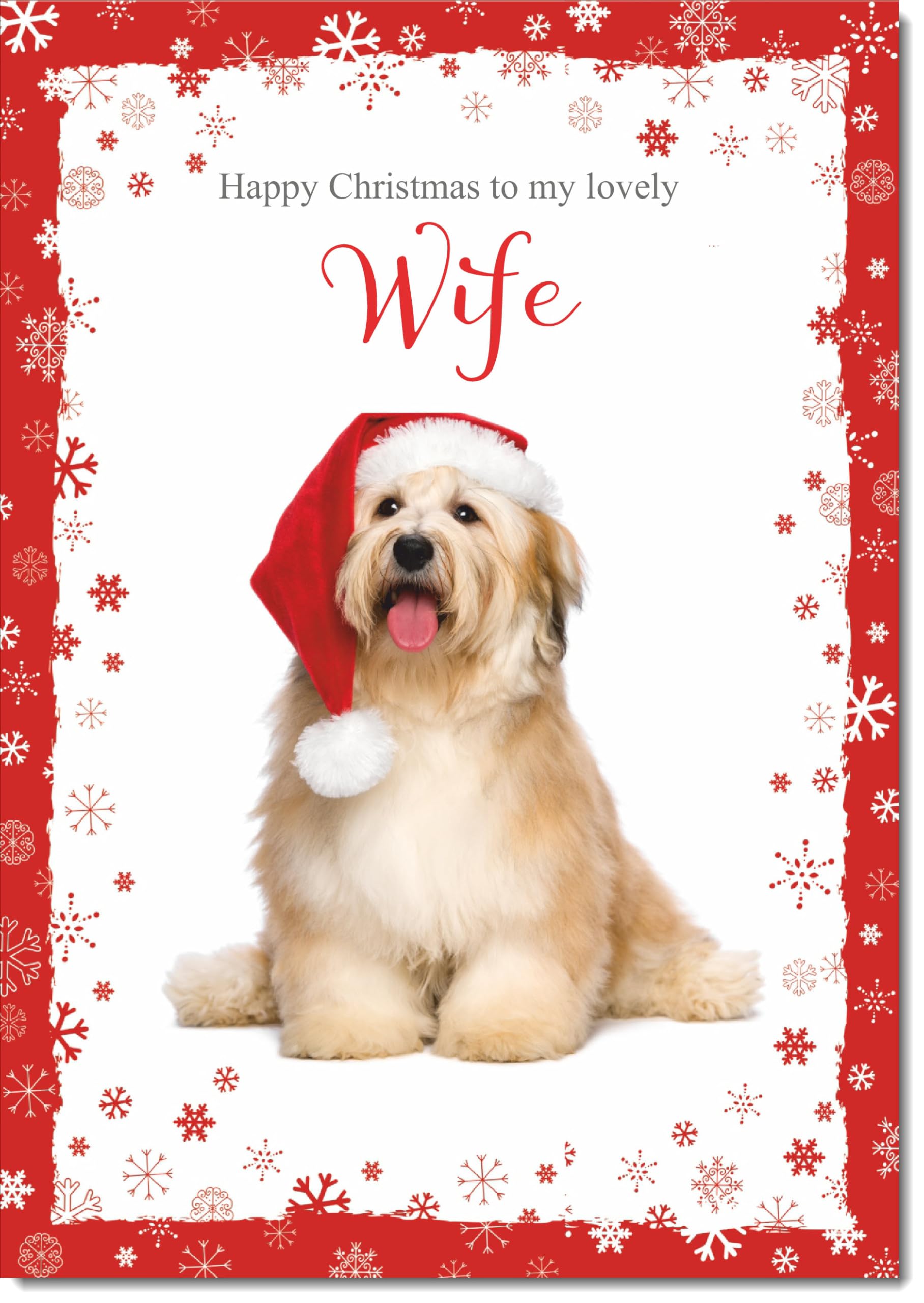 doodlecards Wife Christmas Card Dog with Santa Hat Large A4 Size Christmas Card for Wife with Plain Envelope — image 1