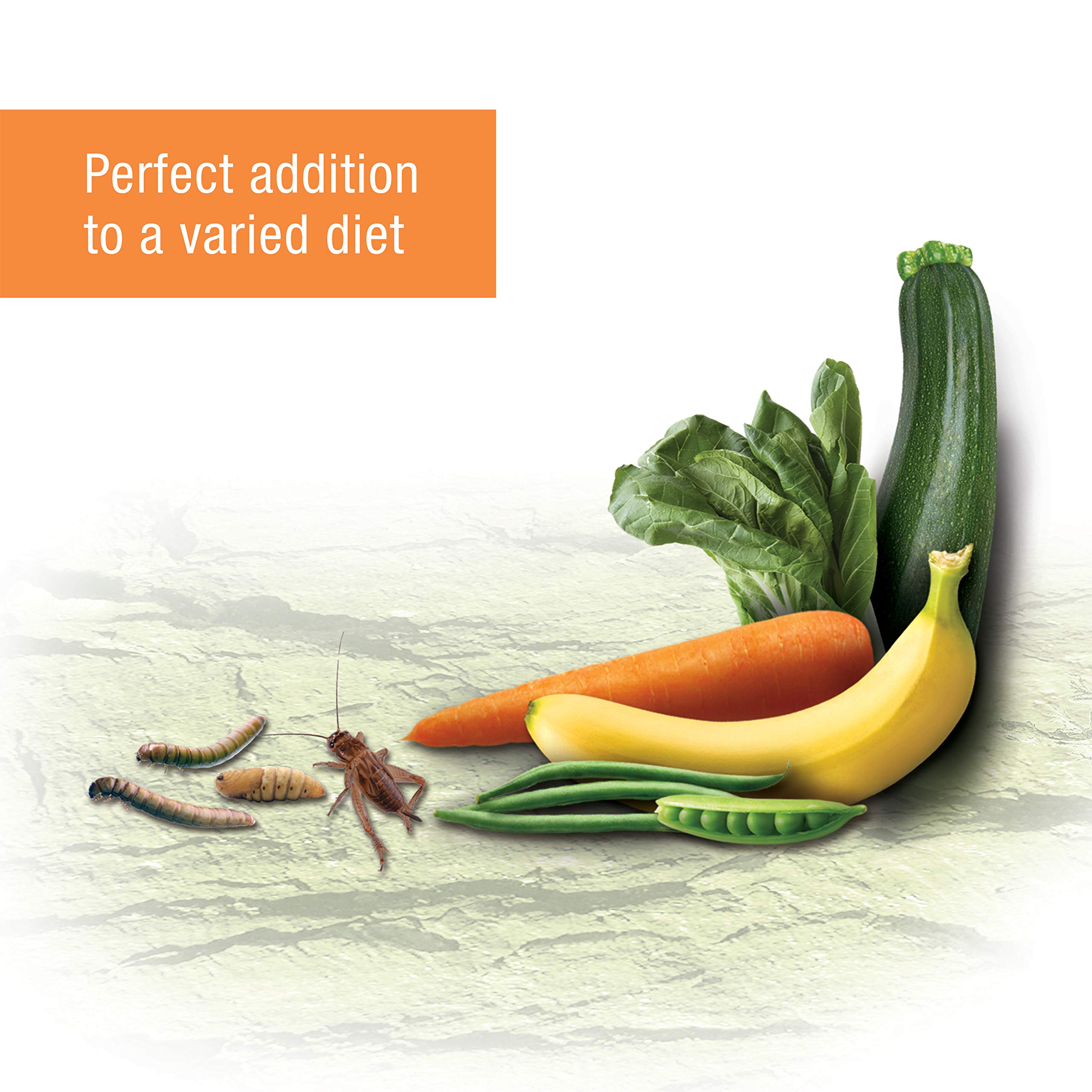 Buy Zilla Reptile Food Munchies River Shrimp for Turtles, Salamanders