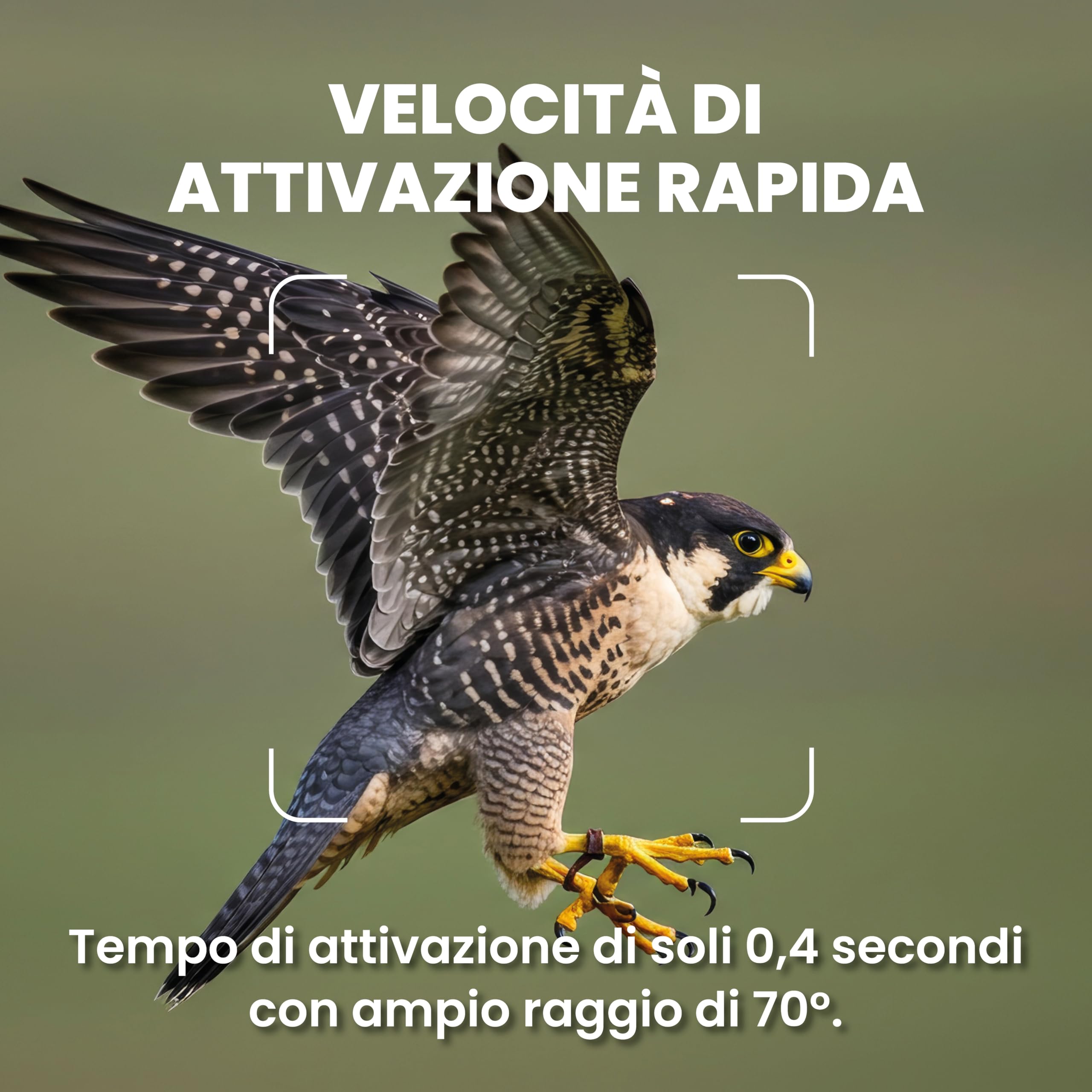 Midland - Fototrappola Wild Guardian, Videocamera 1080p, Visione Notturna con LED Infrarossi, Fotocamera da Caccia 20MP - Sensore Movimento 15m, Attivazione 0.4s, Display 2", per Monitoraggio Fauna