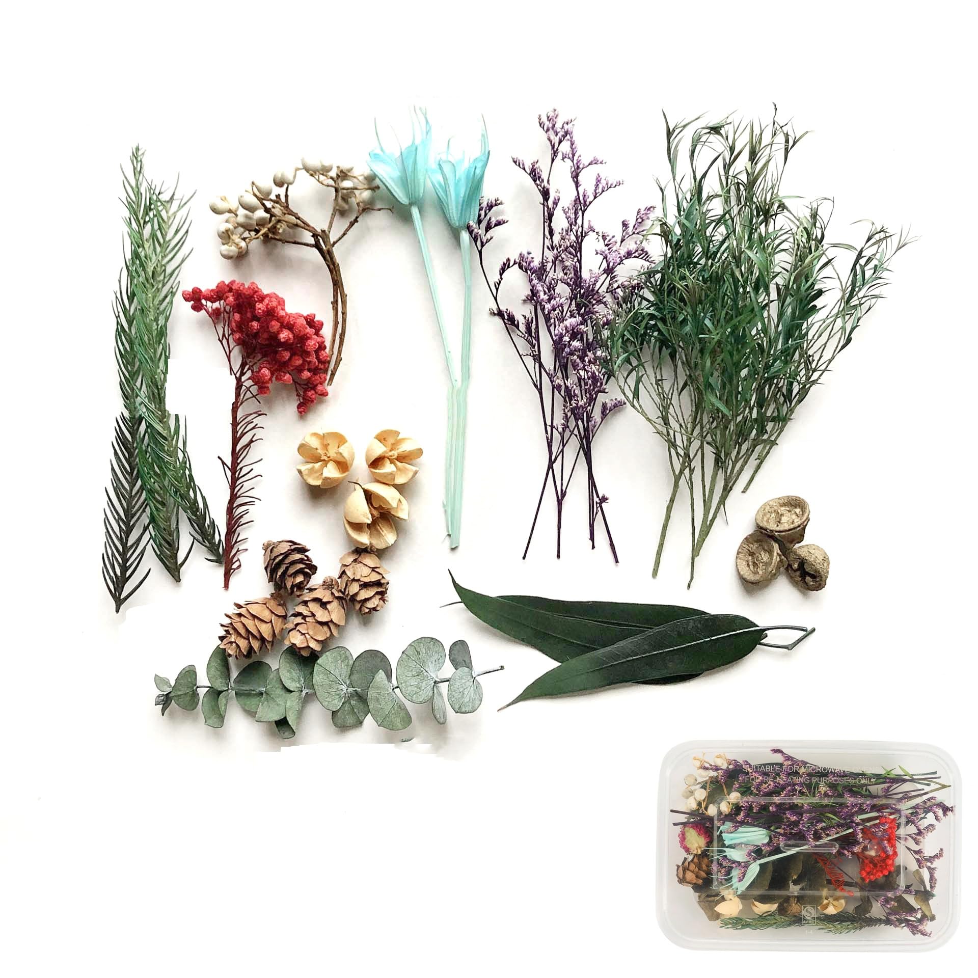 DTECGOUGDry Embossing, 1 Box of 50g Resin Mold, Natural Dry Flower, Genuine Handicraft Embossing DIY Jewelry Mold, Scrapbook, Candle, soap Production, epoxy Resin Supply (Huaguo Pine)