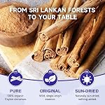 Soeos Organic Ceylon Des bâtons de cannelle, 28g (1oz) Boîte de 1, Cinnamon véritable Ceylan, bâtons entiers premium pour le cuisson, la cuisson, les boissons, l'aromatique et naturellement l'épice sucrée.