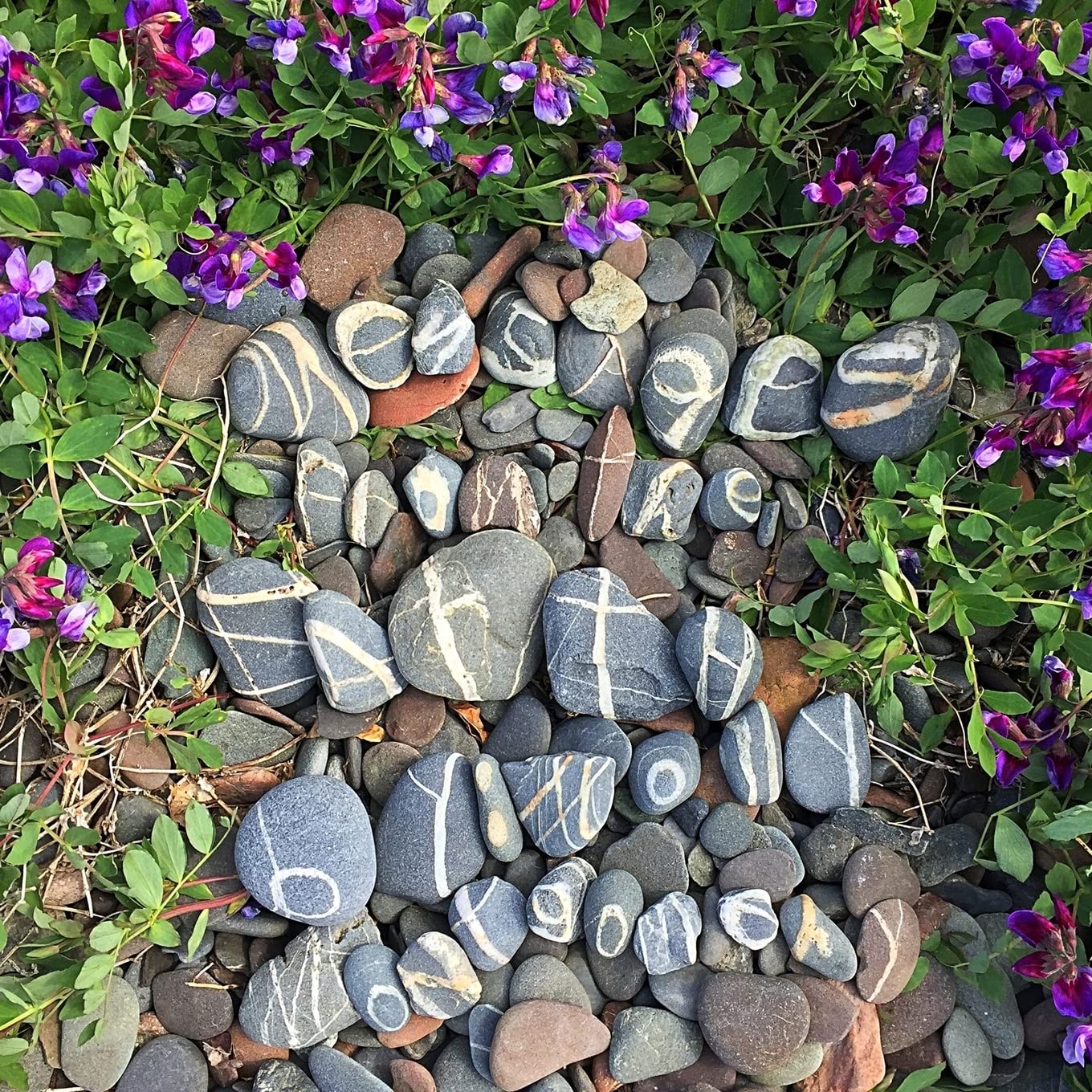 Messages from the Earth