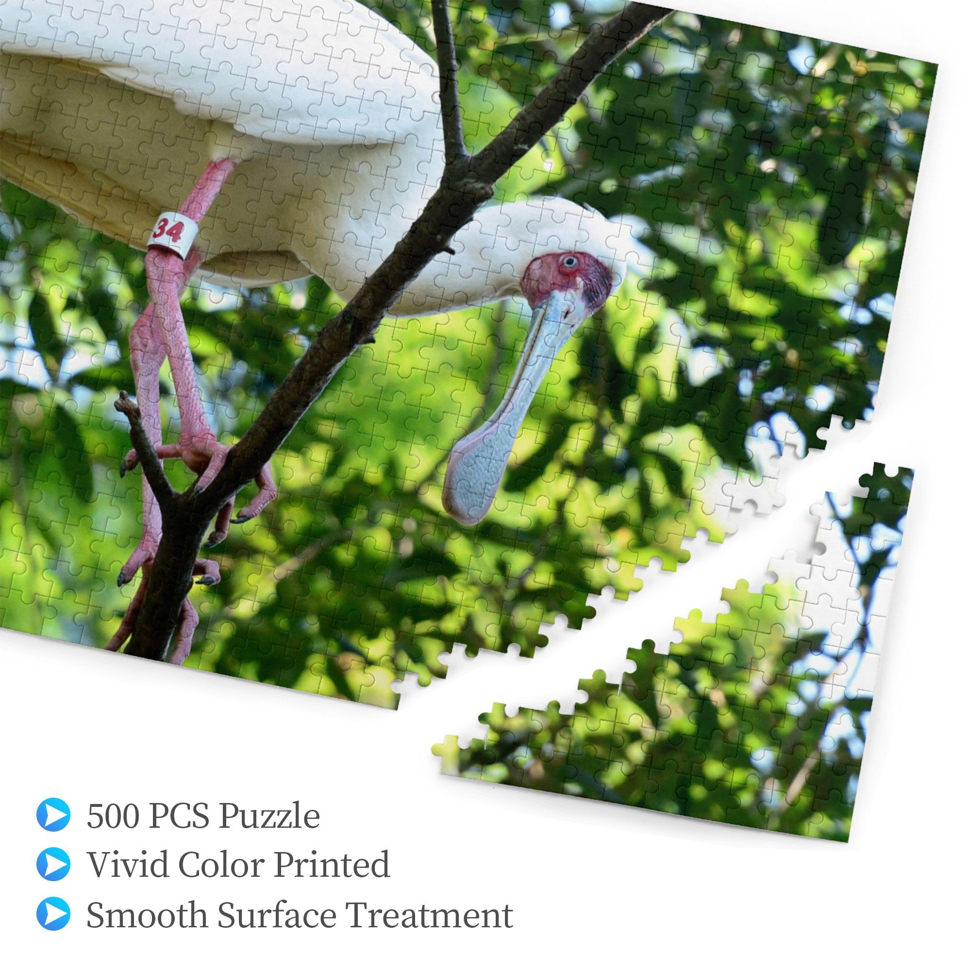  Birds　Dyynia 41VR5hghldL._SY200_QL15_.jpg