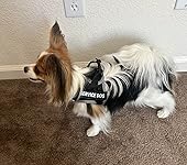 Review Image by cathy dupree cathy dupree