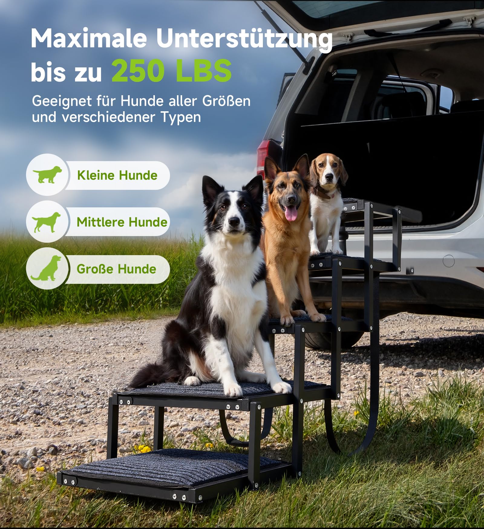 The Fellie Hunderampe, 5-stufige Hunderampe Auto Klappbar, Extra Stabile Hundetreppe mit Anti-Rutsch-Treppe, Liechte Hundetreppe für Kleine&Große Hunde, Hunde Unterstützung bis zu 250 lbs