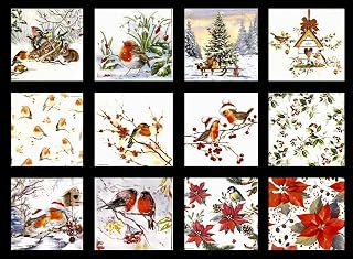 12 Styles Assorted Christmas Napkins for Decoupage - Variety of Winter Bird Designs - Decorative Paper for Beautiful Holiday Crafts - 1 Each 6.5