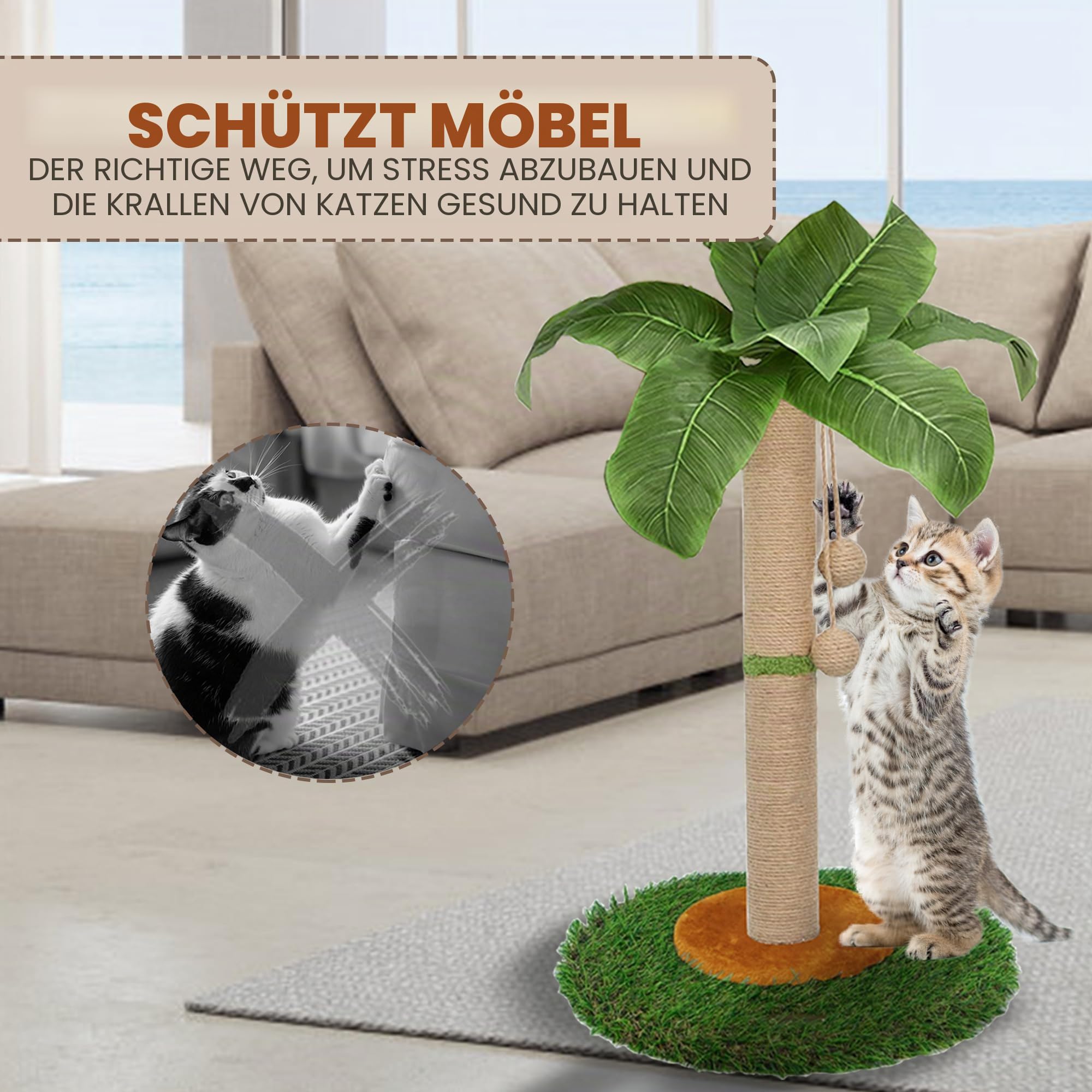 Kratzbaum für Katzen und Kätzchen im Innenbereich - 60 cm hoher Kratzbaum mit Sisalseil, Palmen-Kratzbaum mit hängendem Ball (60 cm)