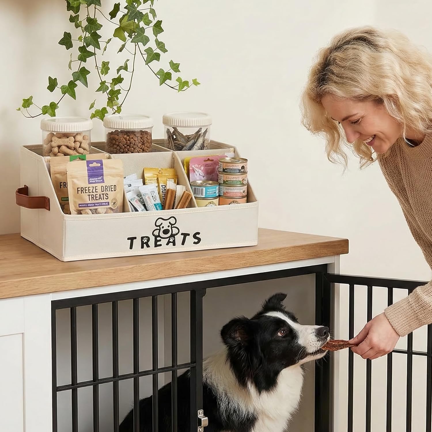 Dog Treat Container with 50oz Treat Jars, Dogs Stuff Storage Organizer,Pet Food Treat Holder for Countertop,Beige