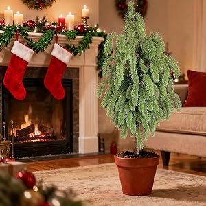 4ft Artificial Norfolk Pine Potted Tree, Real Touch Faux Christmas Greenery, 48in Black Pot, for Outdoor Front Porch, Entryway & Year-Round Home Decor, 2-Pack