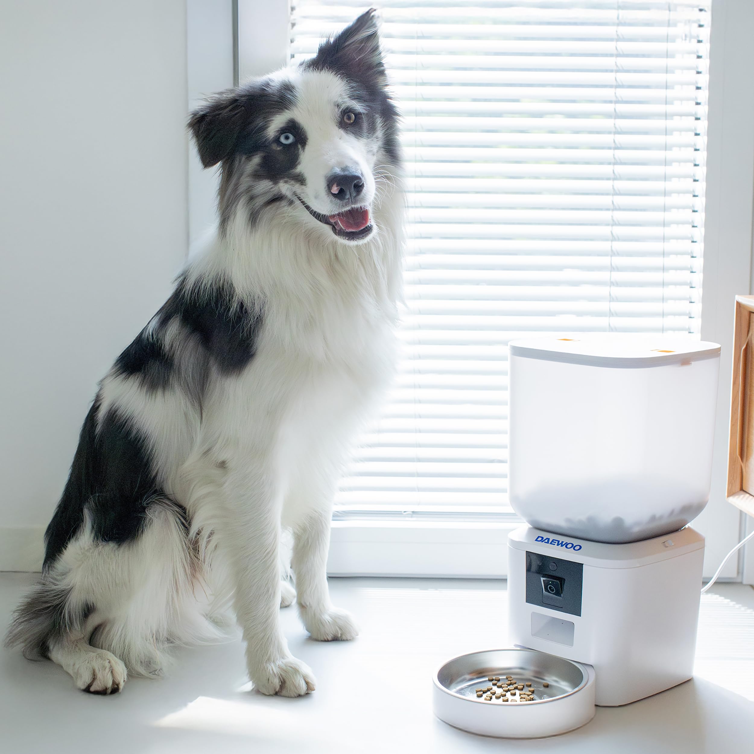 Daewoo - Distributore Automatico Cibo Gatti e Cani con Telecamera HD, Capacità 7L, Alimentazione Programmata Fino a 15 Pasti al Giorno, Microfono Integrato, Controllo Remoto tramite App Tuya