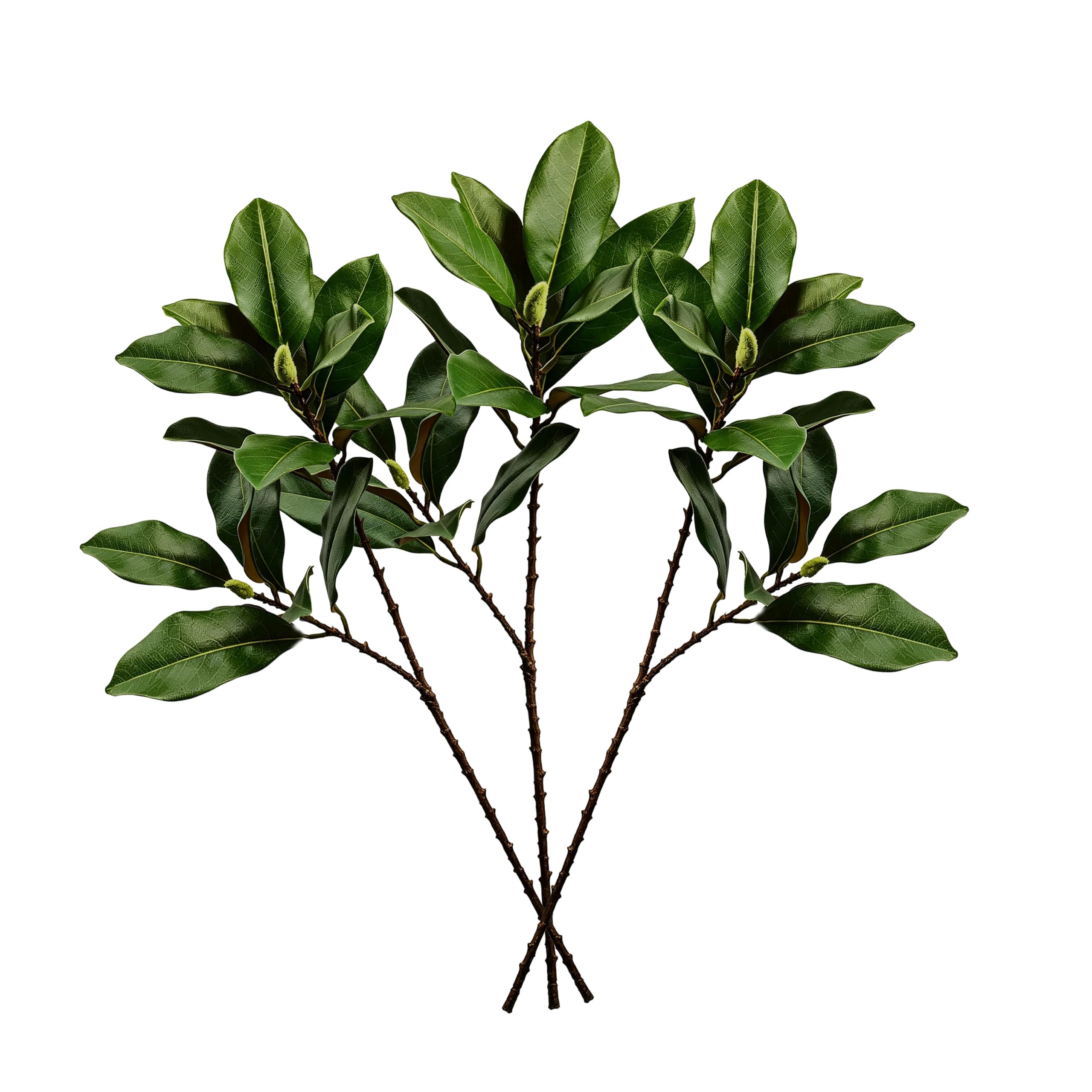 Muhanjia Green Artificial Magnolia Branches, Real Touch Faux Magnolia Stems With Fake Leaves For Vase, Realistic Tree Fork Branch For Home Decor, Farmhouse, Christmas, Garden, Apartment, Office (3, )