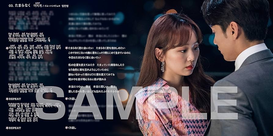 (新品)初対面だけど愛してます OST 初対面で愛してます【ドラマ】OST