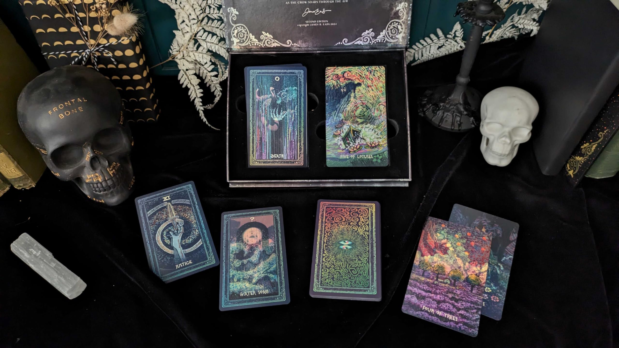 POLARIX MIRAE ジュニョク トレカ 17枚セット Amazon.com: Mirra Visions: Lenticular Tarot & Oracle Deck and