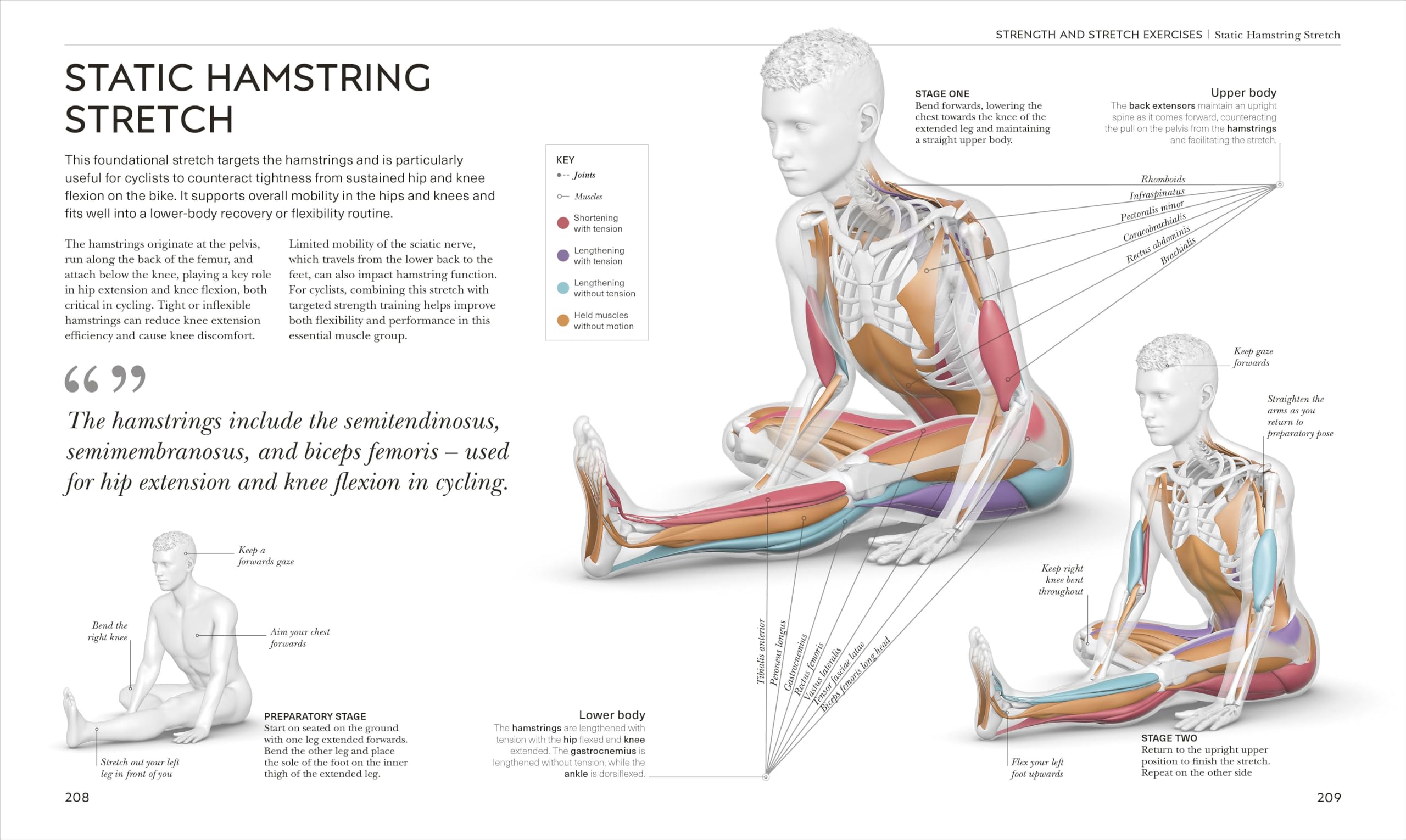 Science of Cycling: Transform Your Ride, Gain Strength, Revolutionize Your Training