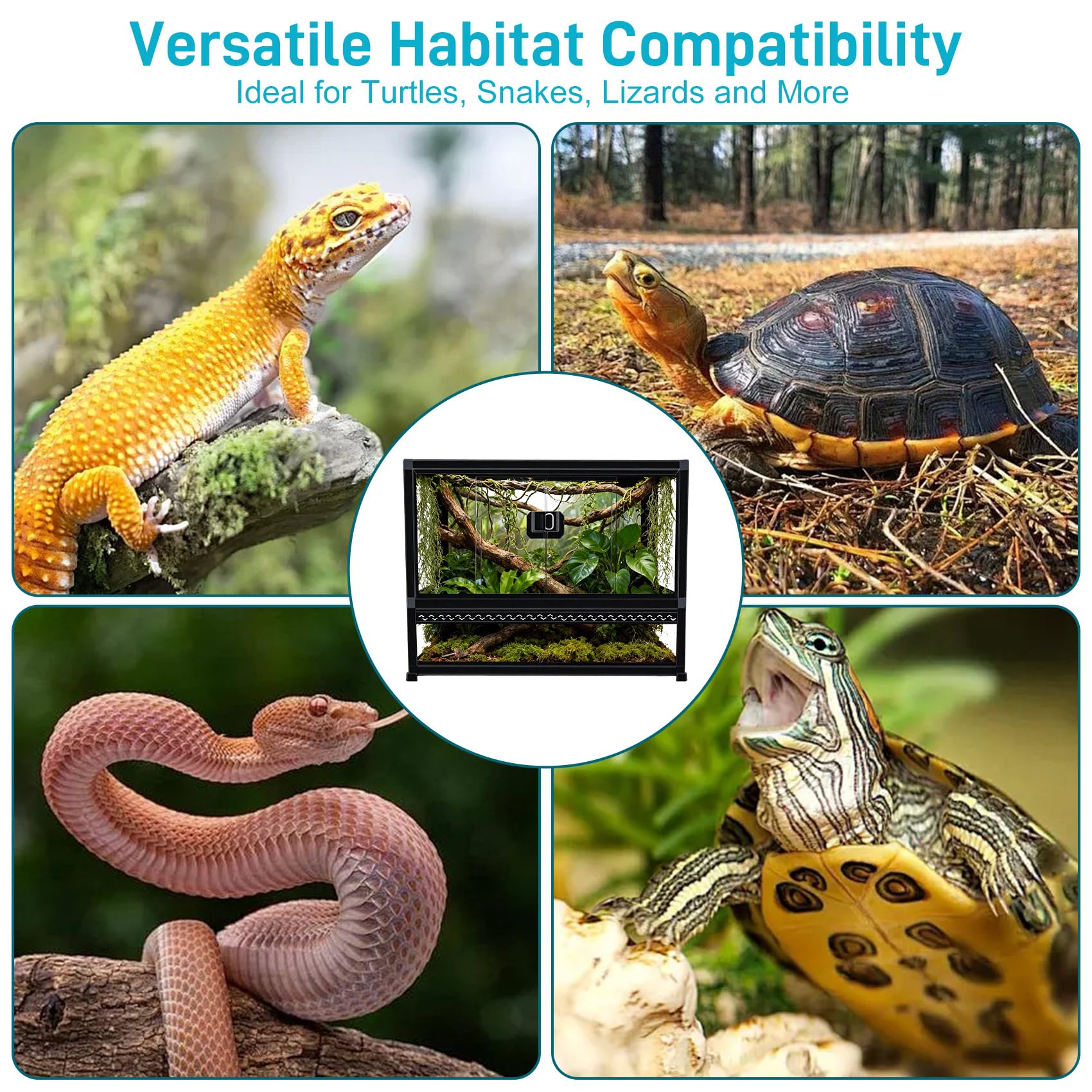 Terrario de cristal para reptiles de 22 x 14 x 12 pulgadas, tanque de apertura frontal con parte superior de malla, fácil montaje para pequeños reptiles, gecos, lagartos, serpientes, tortugas y más