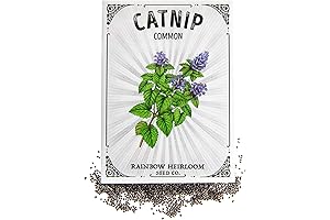 Rainbow Heirloom Seed Co. Catnip Seeds for Planting: Grow Your Own Catnip Bed!