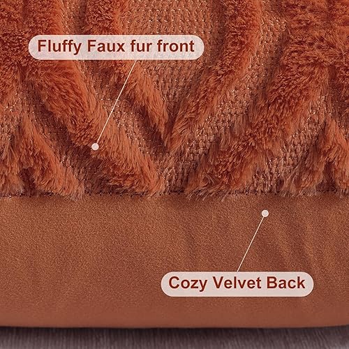Miniatura 8 de decorUhome Juego de 2 fundas de almohada decorativas de otoño de 20 x 20 pulgadas, fundas de almohada de felpa suave de lana sintética para el