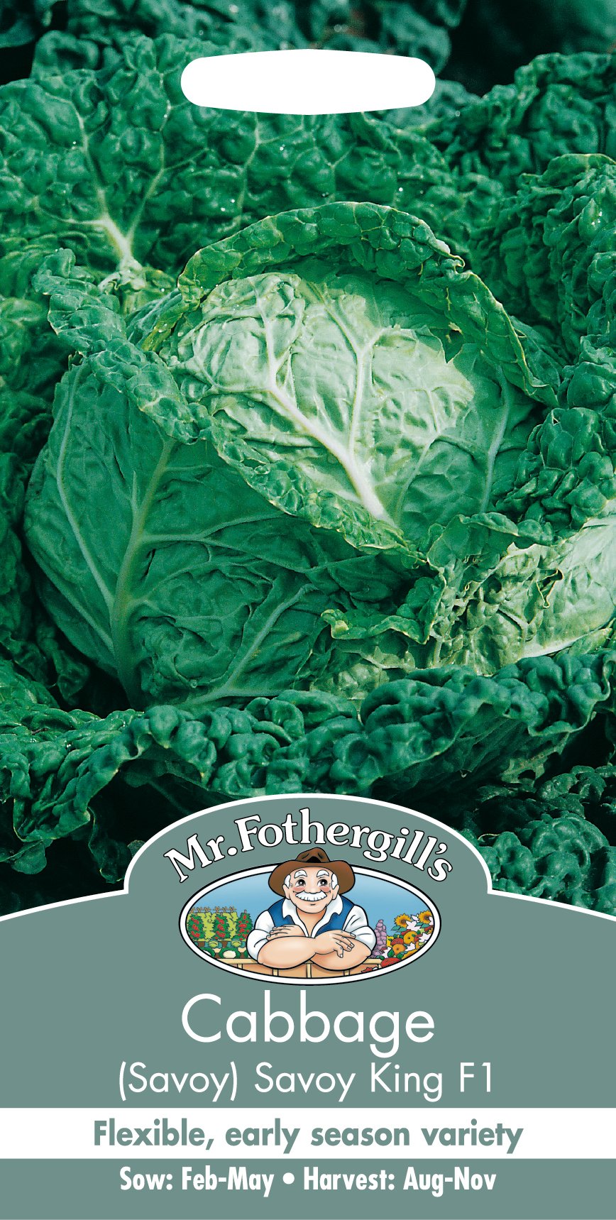 Mr Fothergill's Green / Red Mr. Fothergill's Savoy King F1 Cabbage Seeds